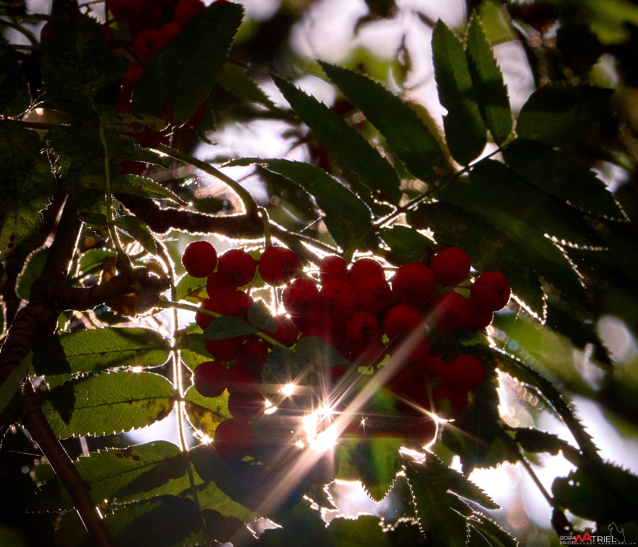 Фотопрогулка "вокруг дома"