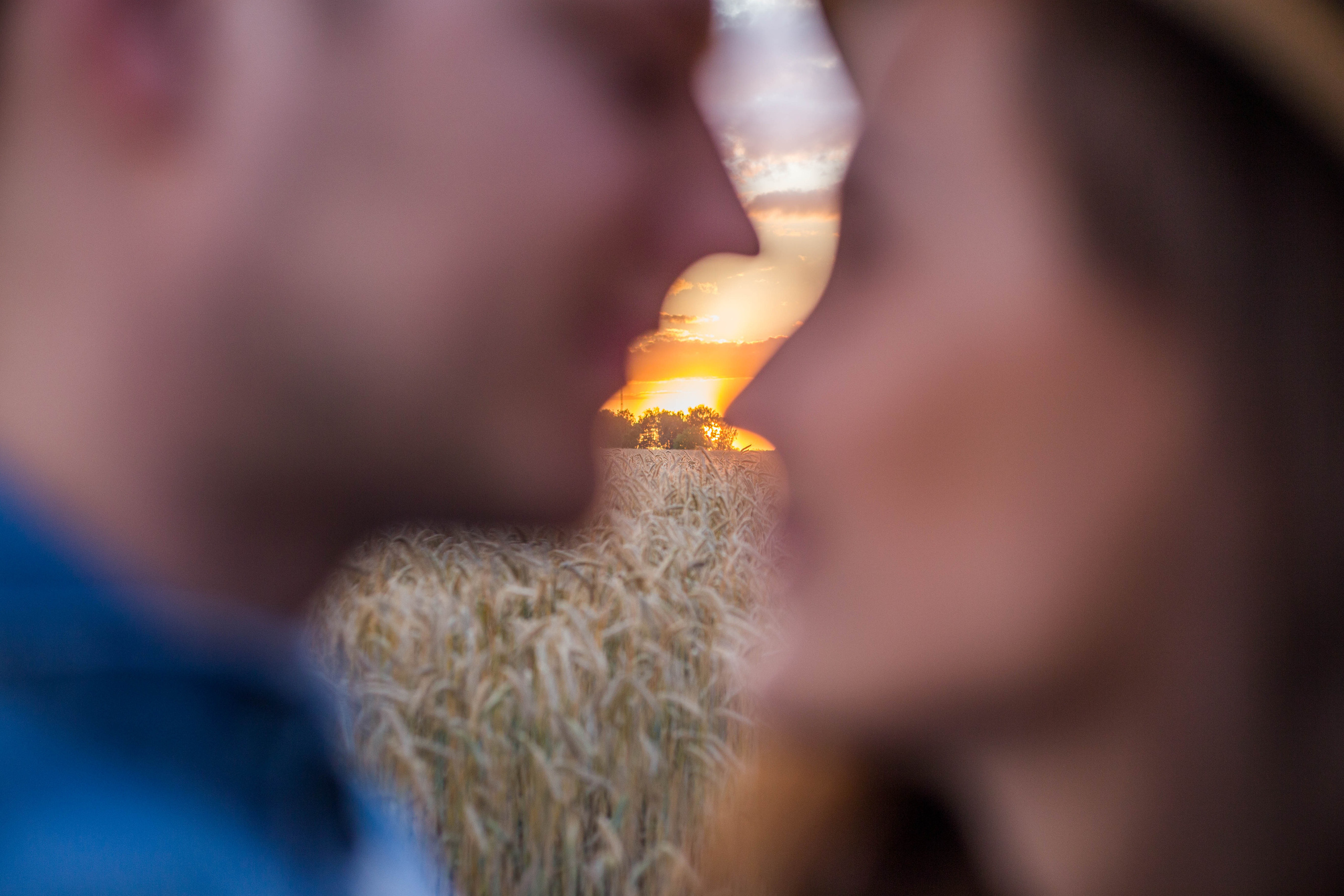 Денис и Саша. Свадебный фотограф Ян Хведчин