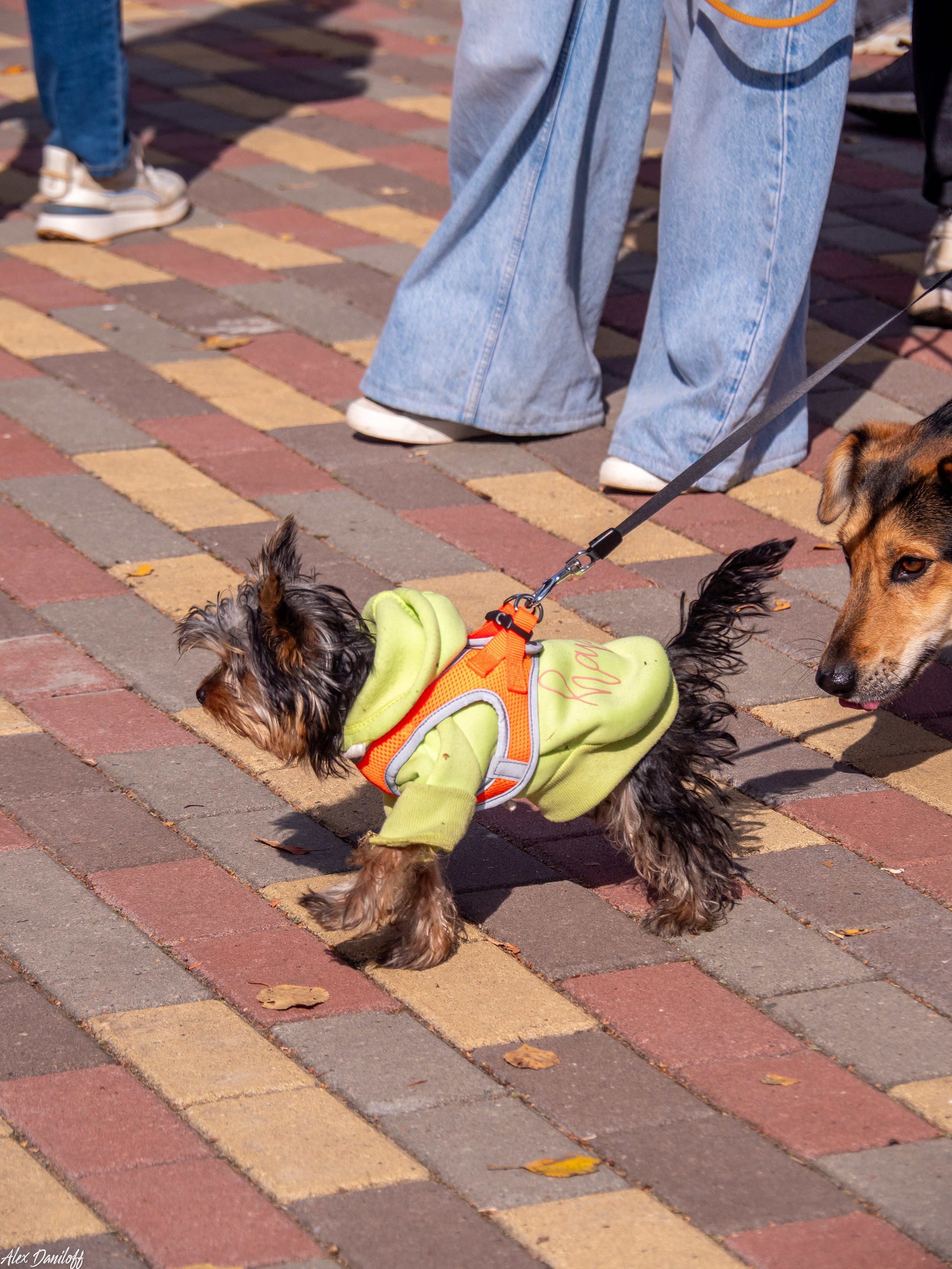Обнимака 2025. Муром-Инфо. Новости культуры, образования, спорта в городе Муром