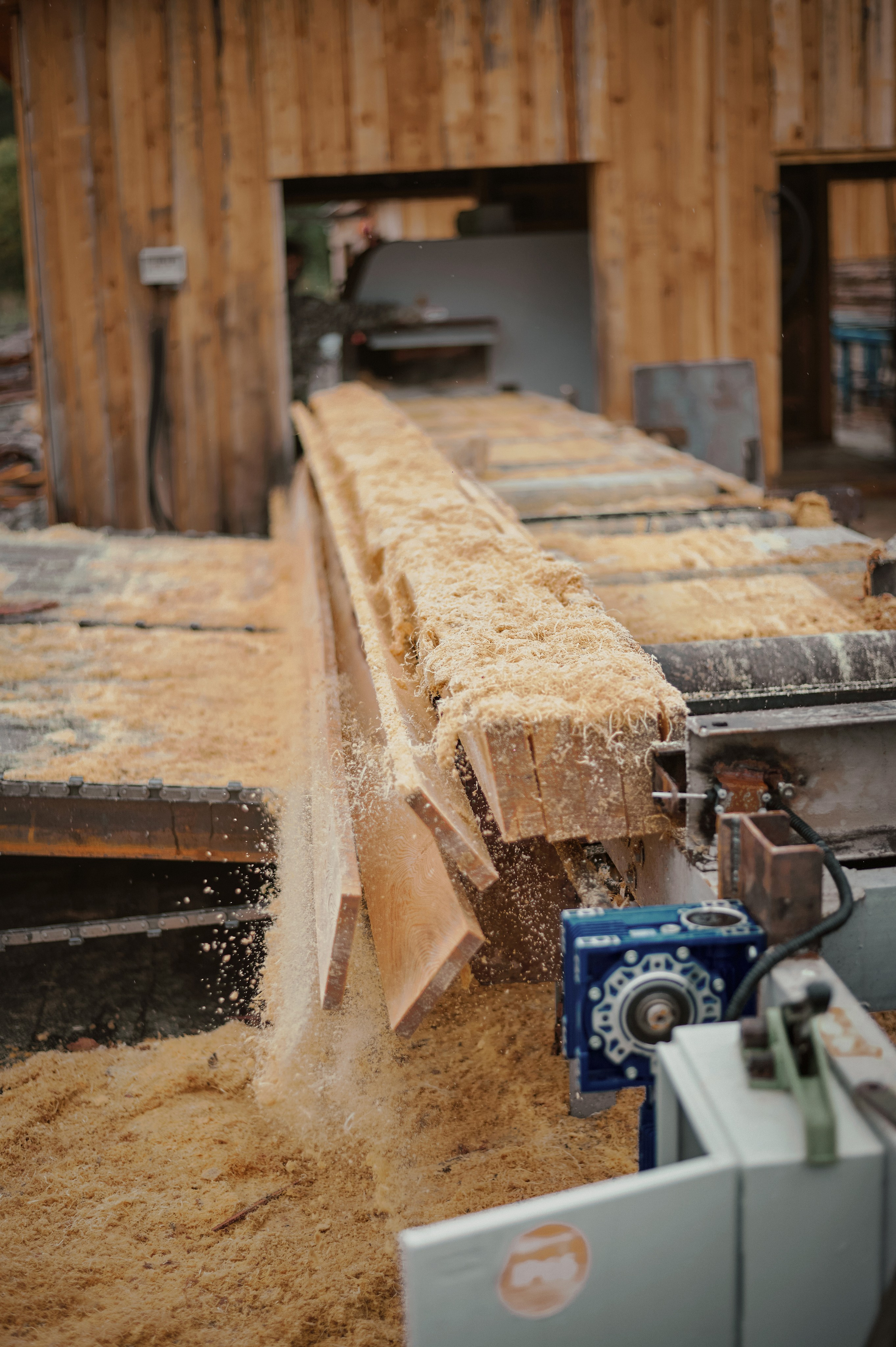 Лесозаготовка г. Мотыгино. Фотограф Яковлев Роман — Красноярск