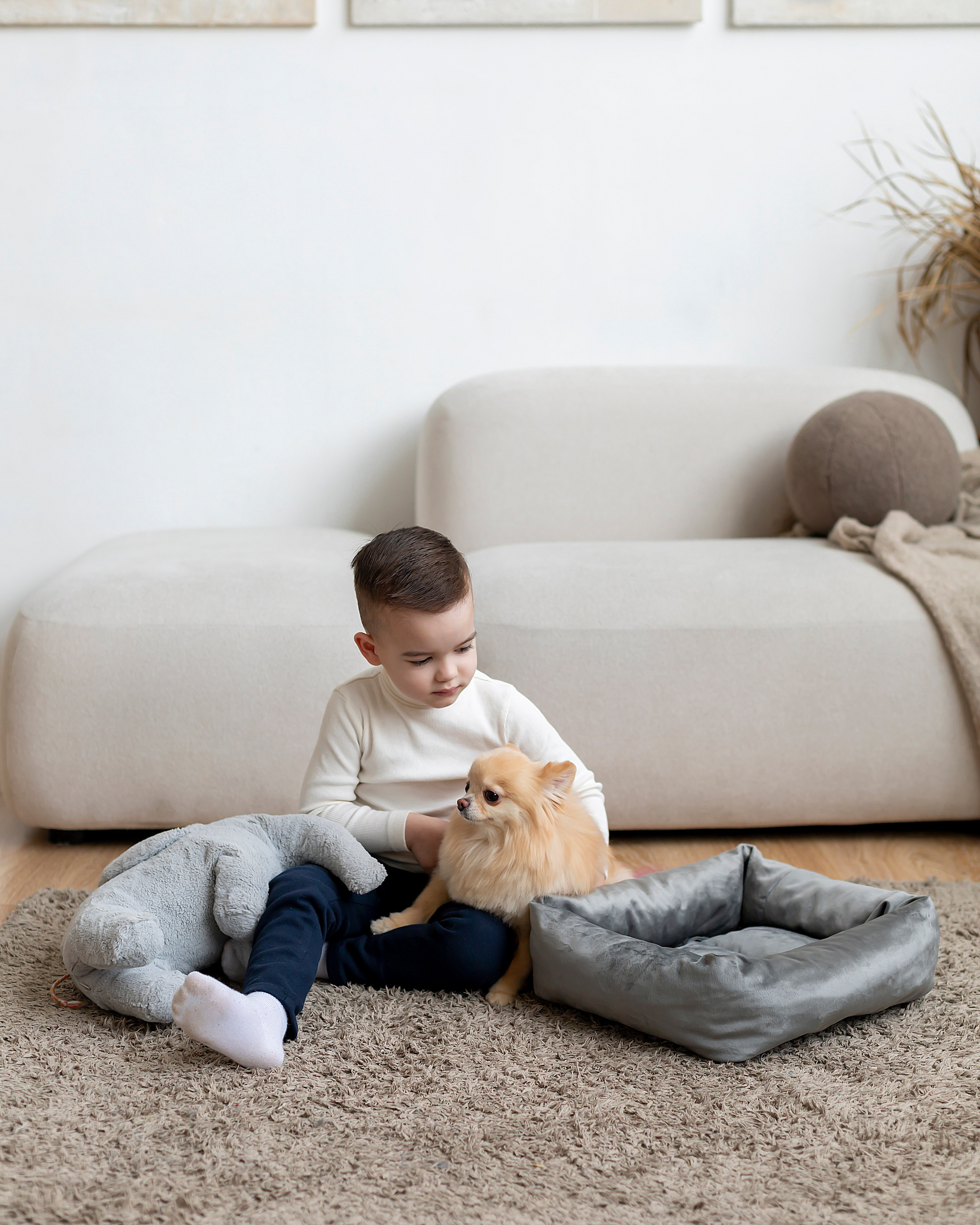 Лежанки для животных. Предметный & фудфотограф Рязань