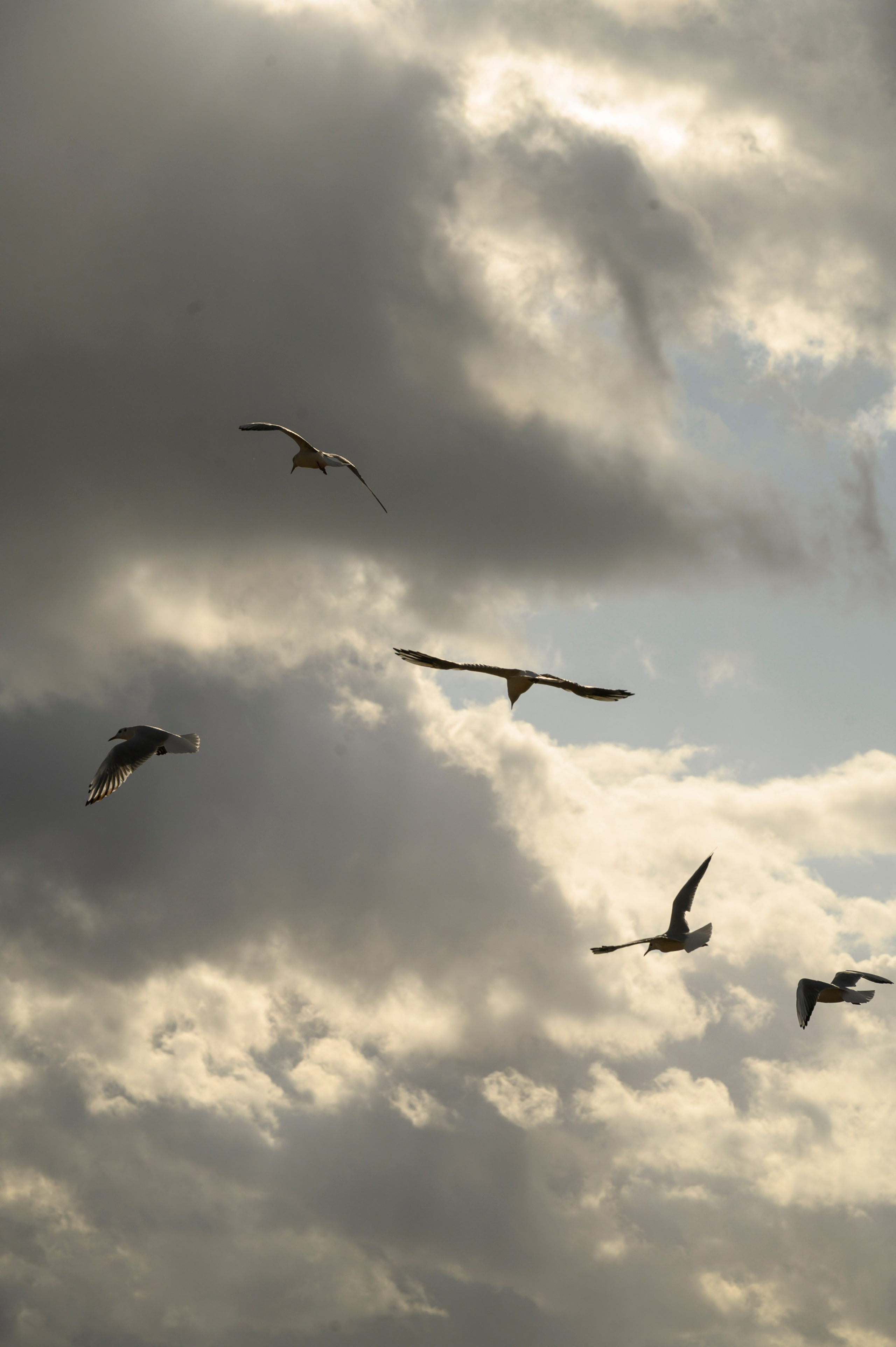 Света Паша. Фотограф в Сыктывкаре Онохов Иван