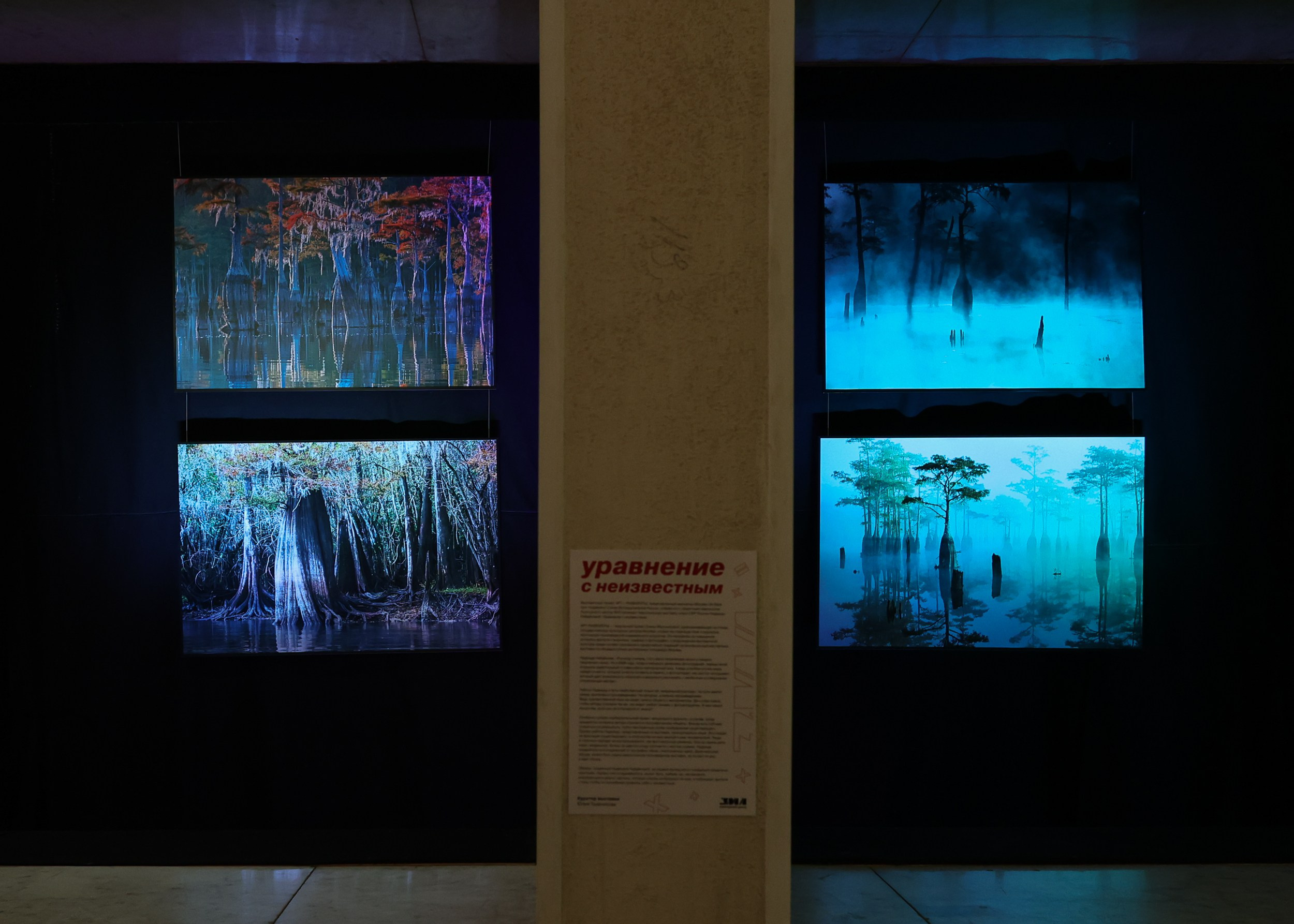 УРАВНЕНИЕ С НЕИЗВЕСТНЫМИ Фотовыставка Надежды Найденовой в КЦ ЗИЛ. Reportage, architectural, fine art photographer Lena Melnikova in Moscow