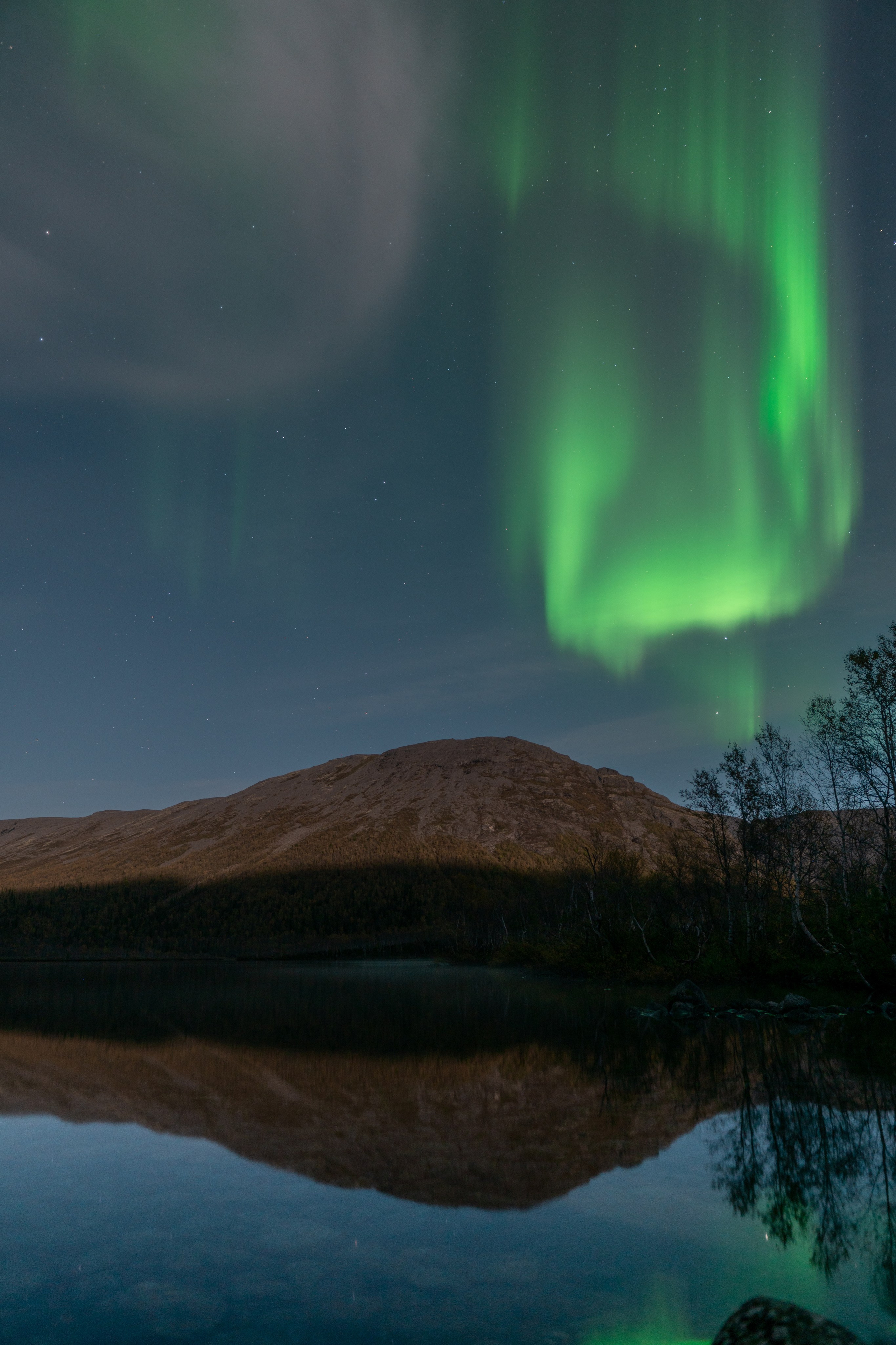 Золотая осень в Хибинах. Daria wanderer photography