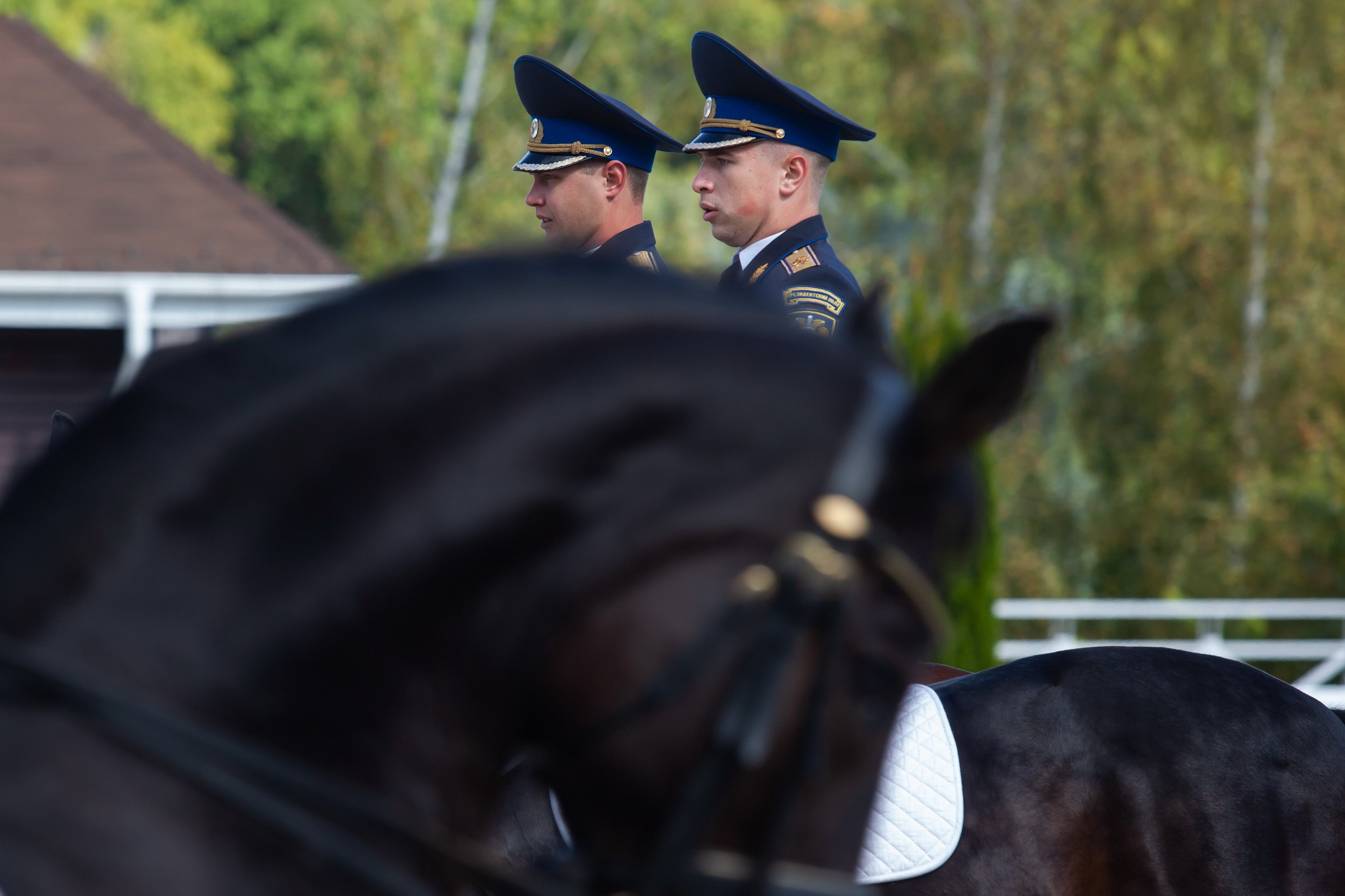 Кубок Губернатора по конкуру (21 сентября 2019). Репортажный фотограф Алексей Пирязев