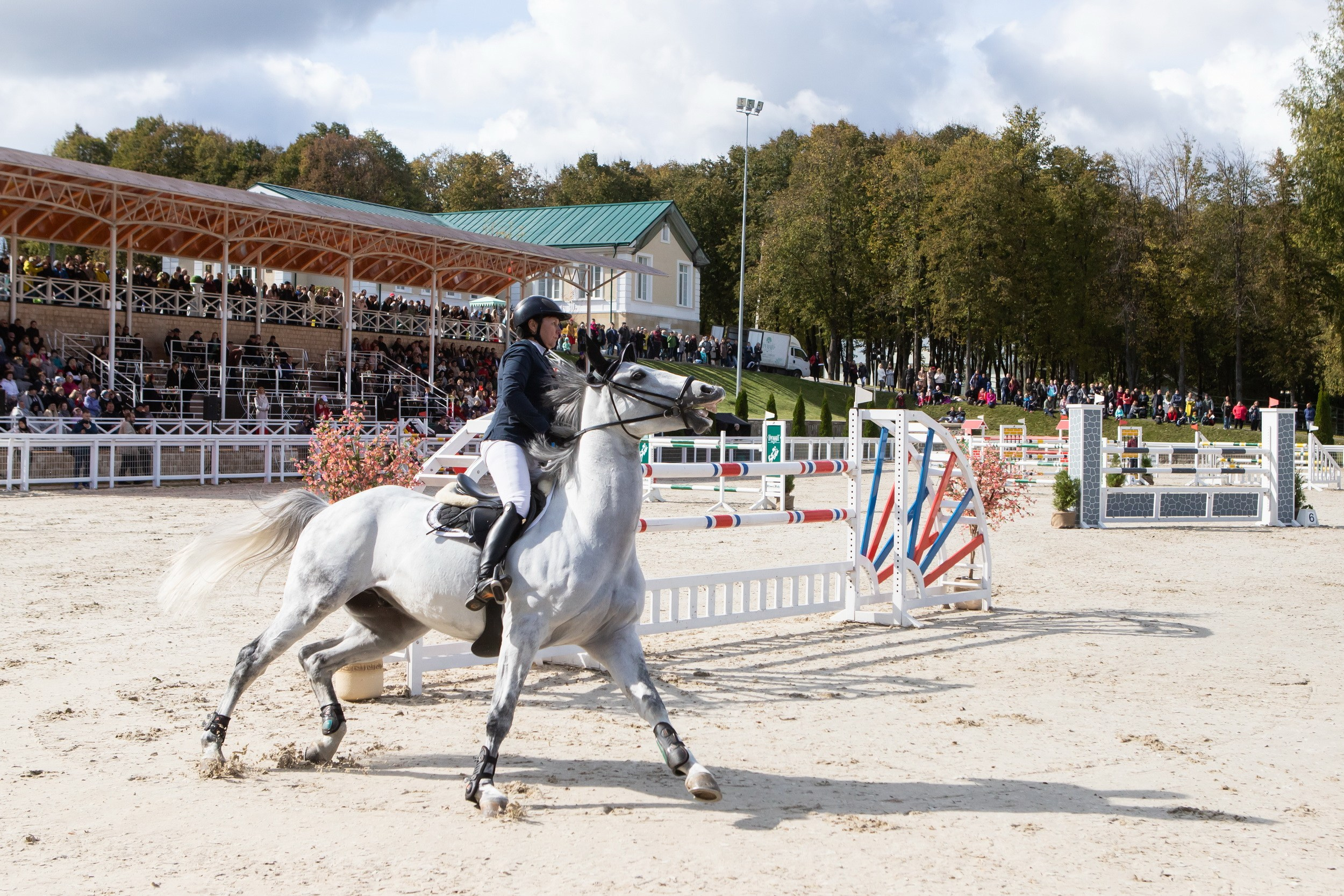 Кубок Губернатора по конкуру (21 сентября 2019). Репортажный фотограф Алексей Пирязев