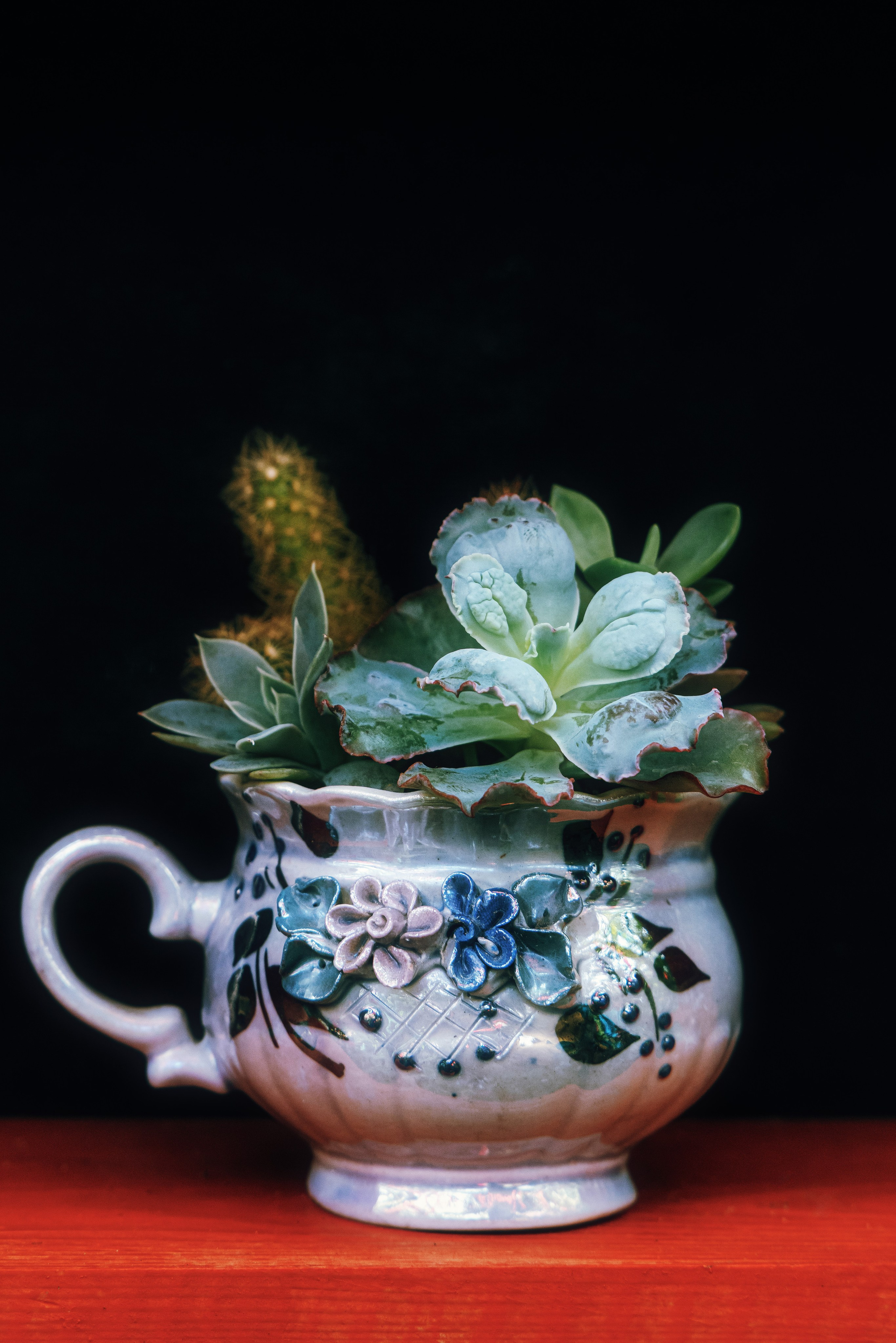 Суккуленты в винтажной чашке - фото на тёмном фоне, на красной деревянной подставке, изображение крупным планом для творческого и коммерческого использования