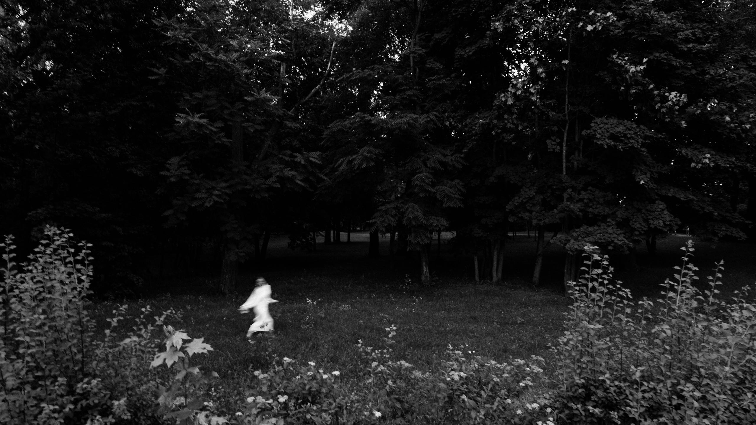 G+Q. Свадебный фотограф Каледич Тимофей