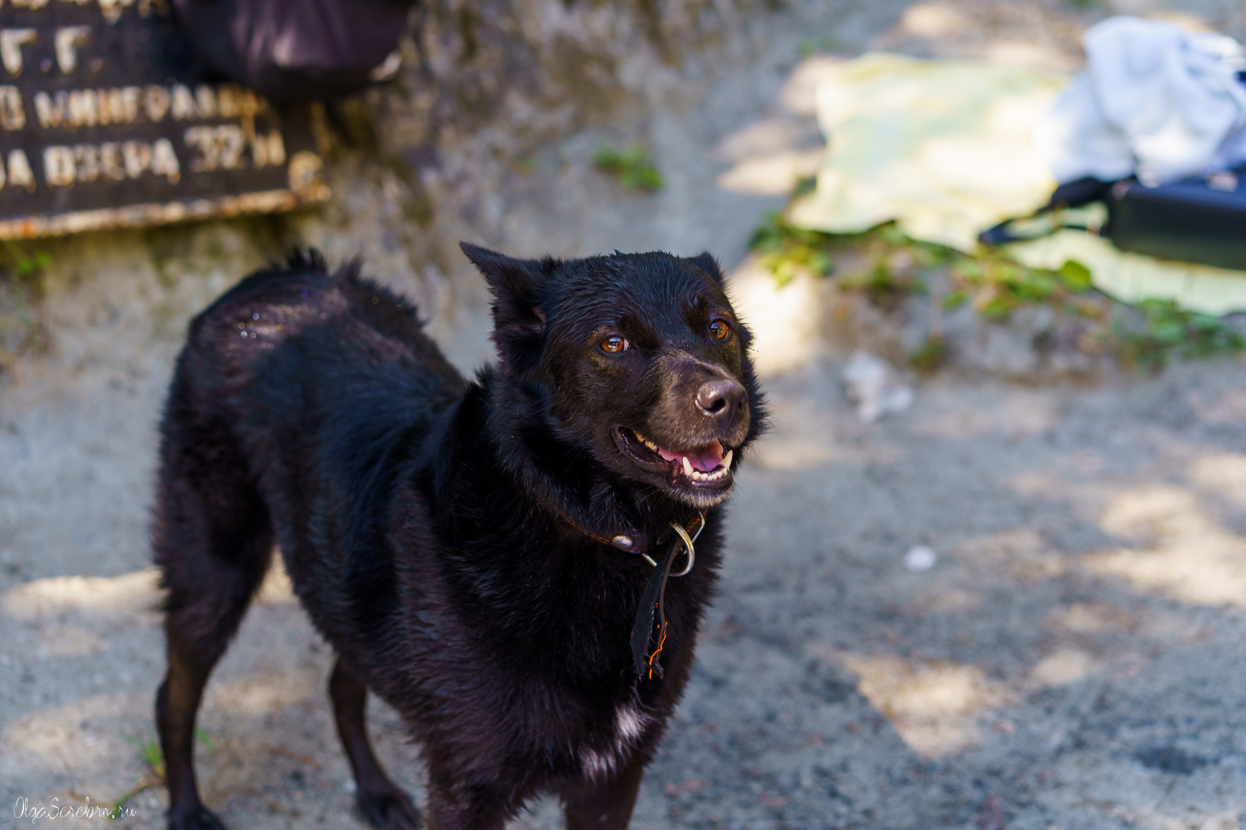 Тальков камень. Фотограф Челябинск · Ольга Серебрякова