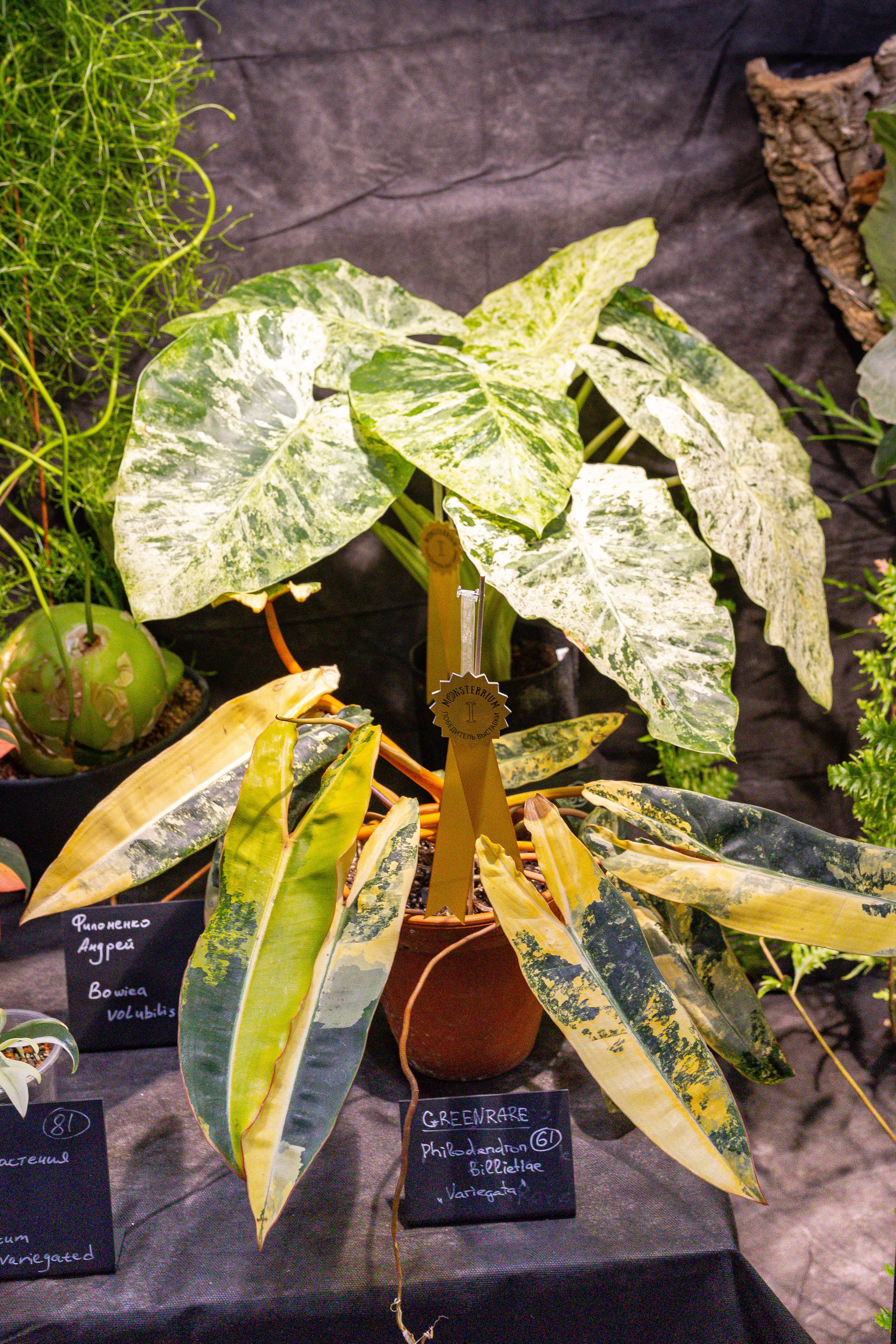 Монстериум 11–12 октября. Александра Куликова фотограф, Москва