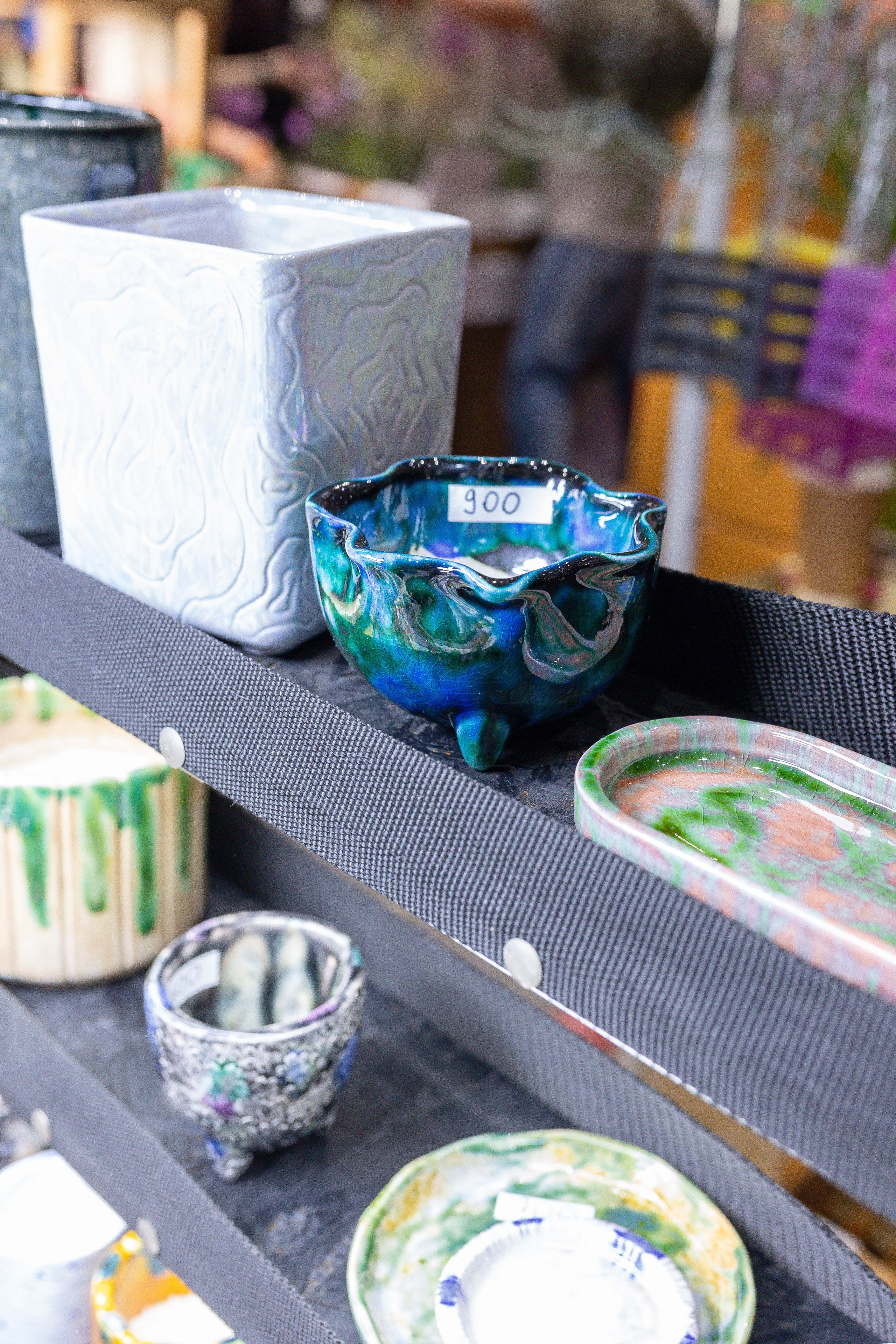 Орхидиум 12.2025. Александра Куликова фотограф, Москва