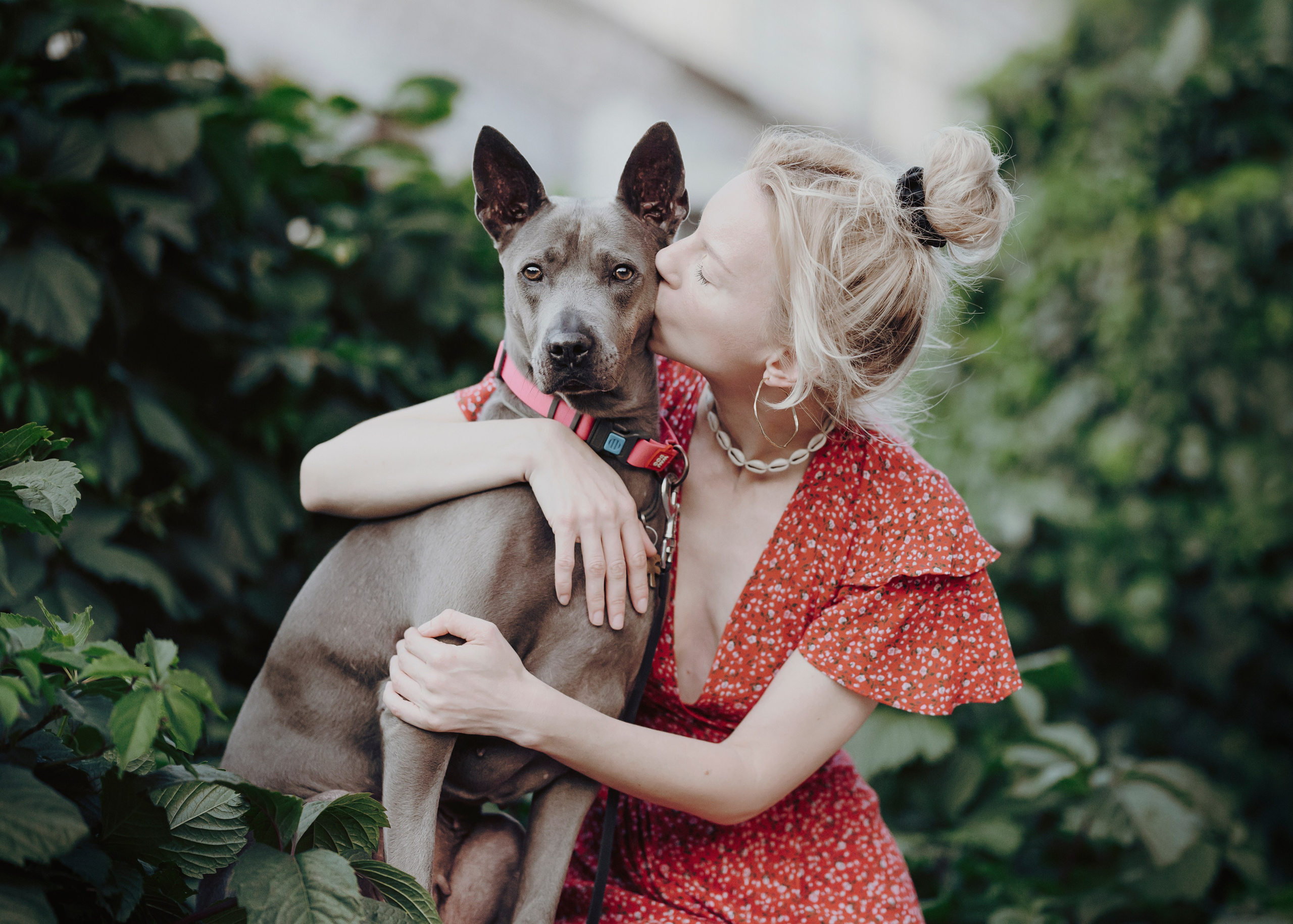 Шарма. Фотограф- анималист Александра Матвеева