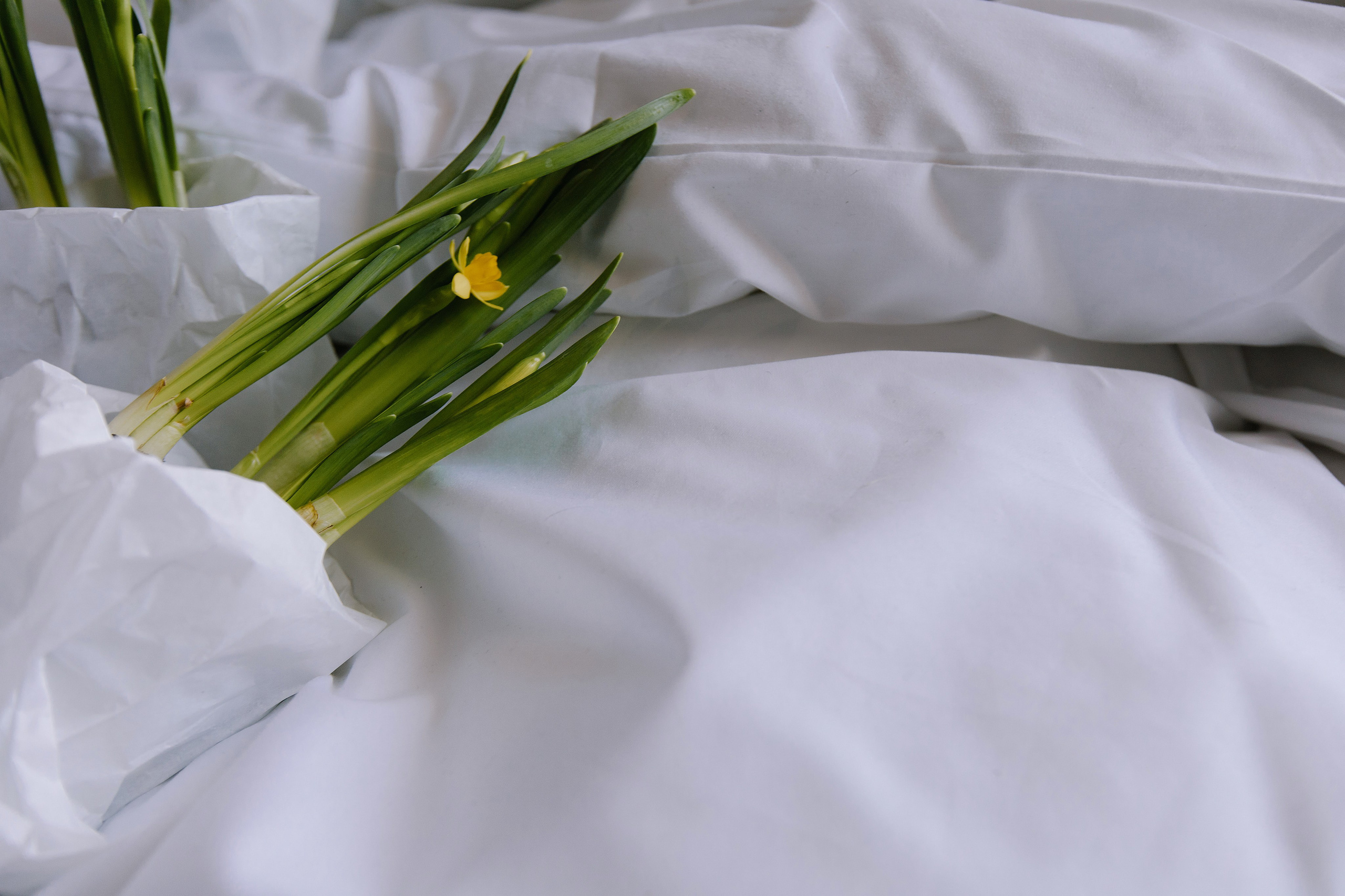 Творческая. Свадебный и семейный фотограф Челябинск и Челябинская область