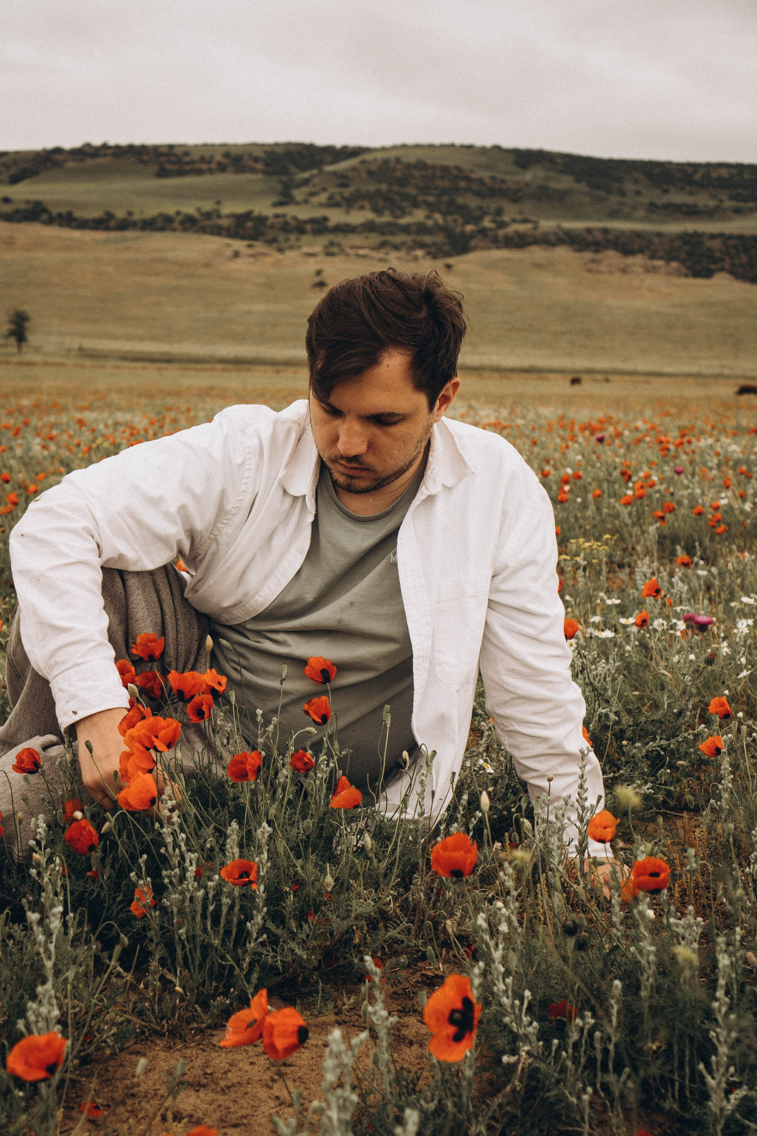 Маки. Профессиональный фотограф, Санкт-Петербург — Виктория Богомолова