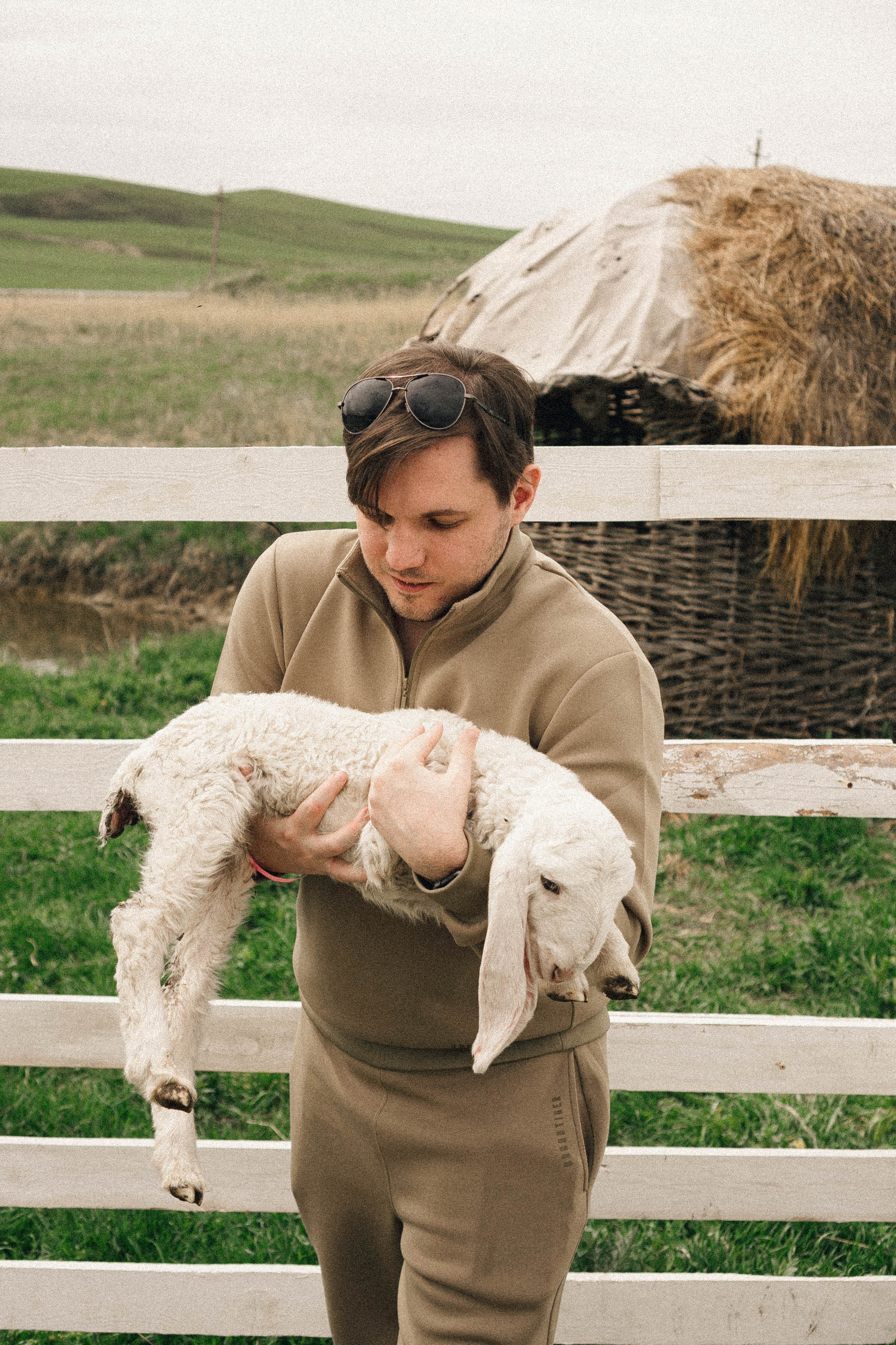 Ферма Альпак. Профессиональный фотограф, Санкт-Петербург — Виктория Богомолова