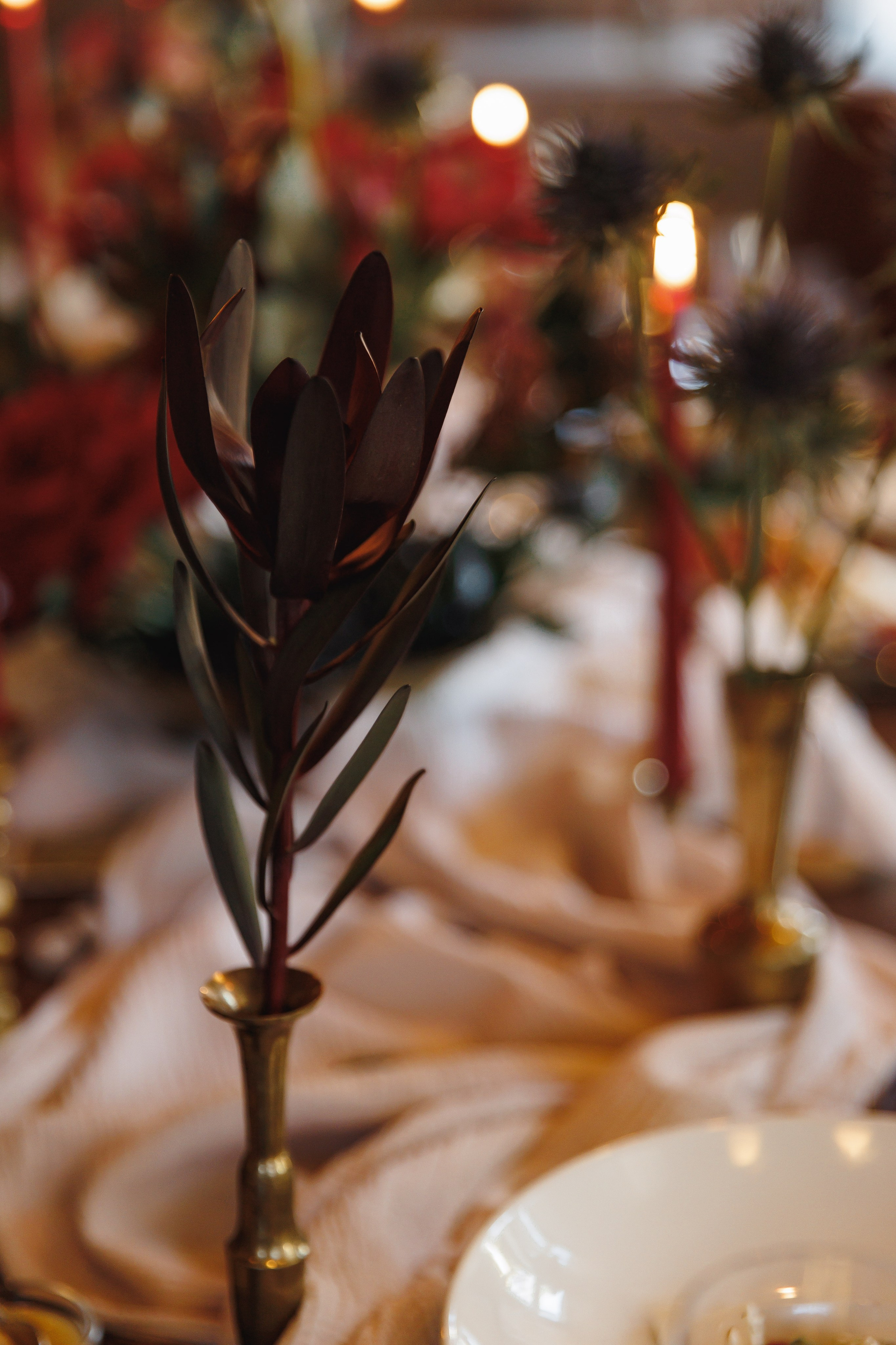 Алла и Андрей. Wedding photographer in St. Petersburg, Europe and Israel Anna Agafon