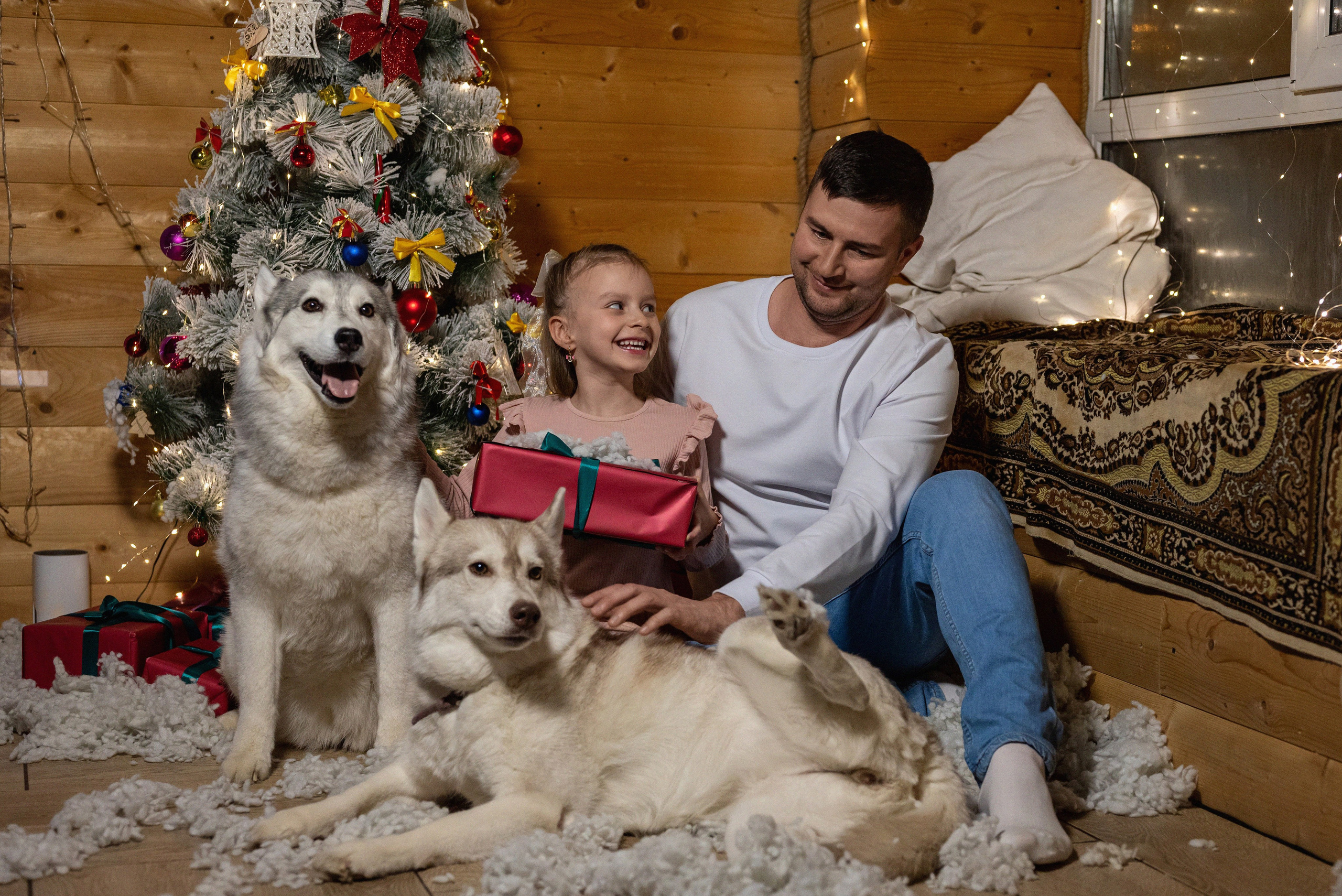 Фотопроект с хаски 2024 г. Фотограф в городе Салават