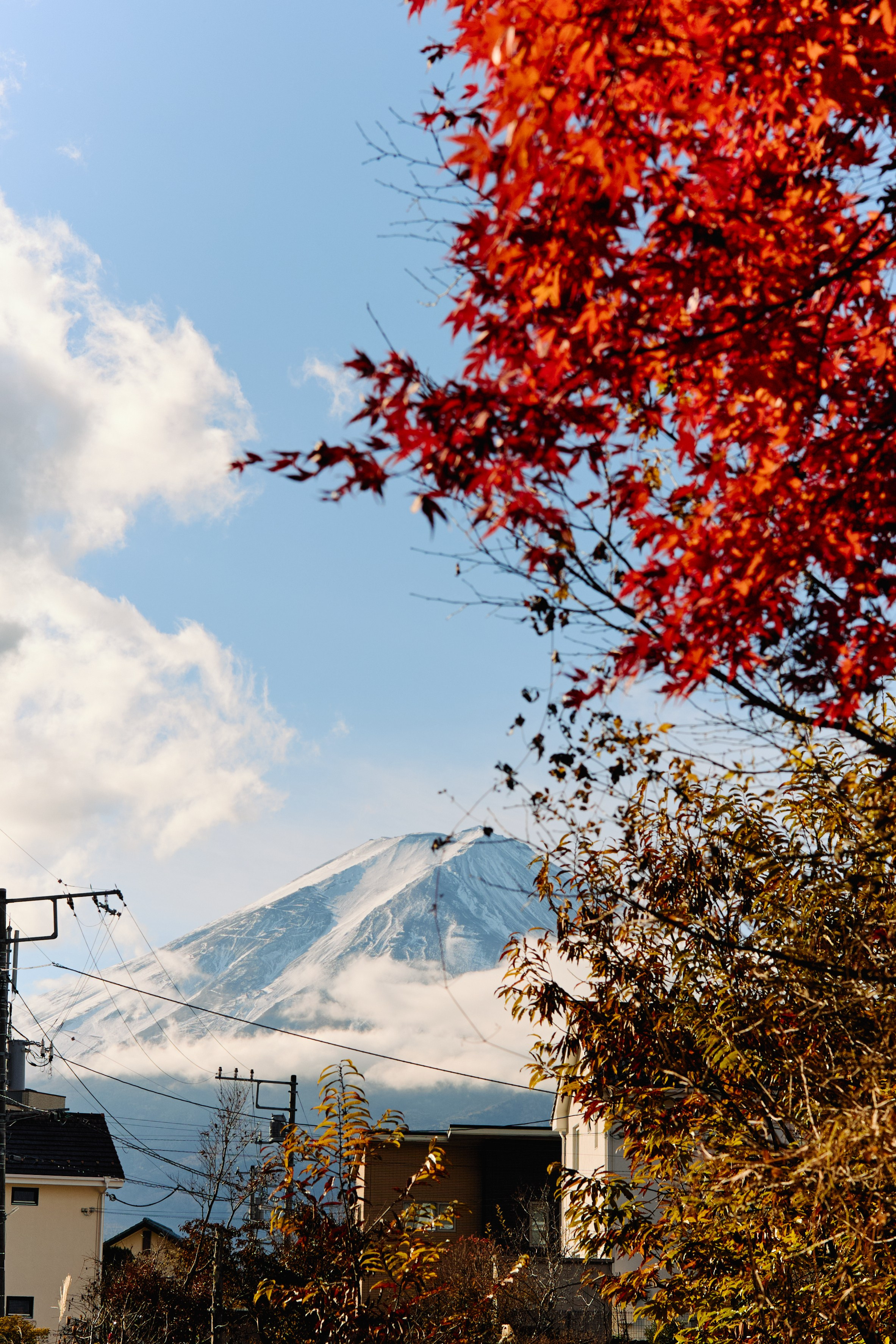 Япония. Профессиональный Фотограф во Владимире, в Москве и в Суздале — Полина Романычева