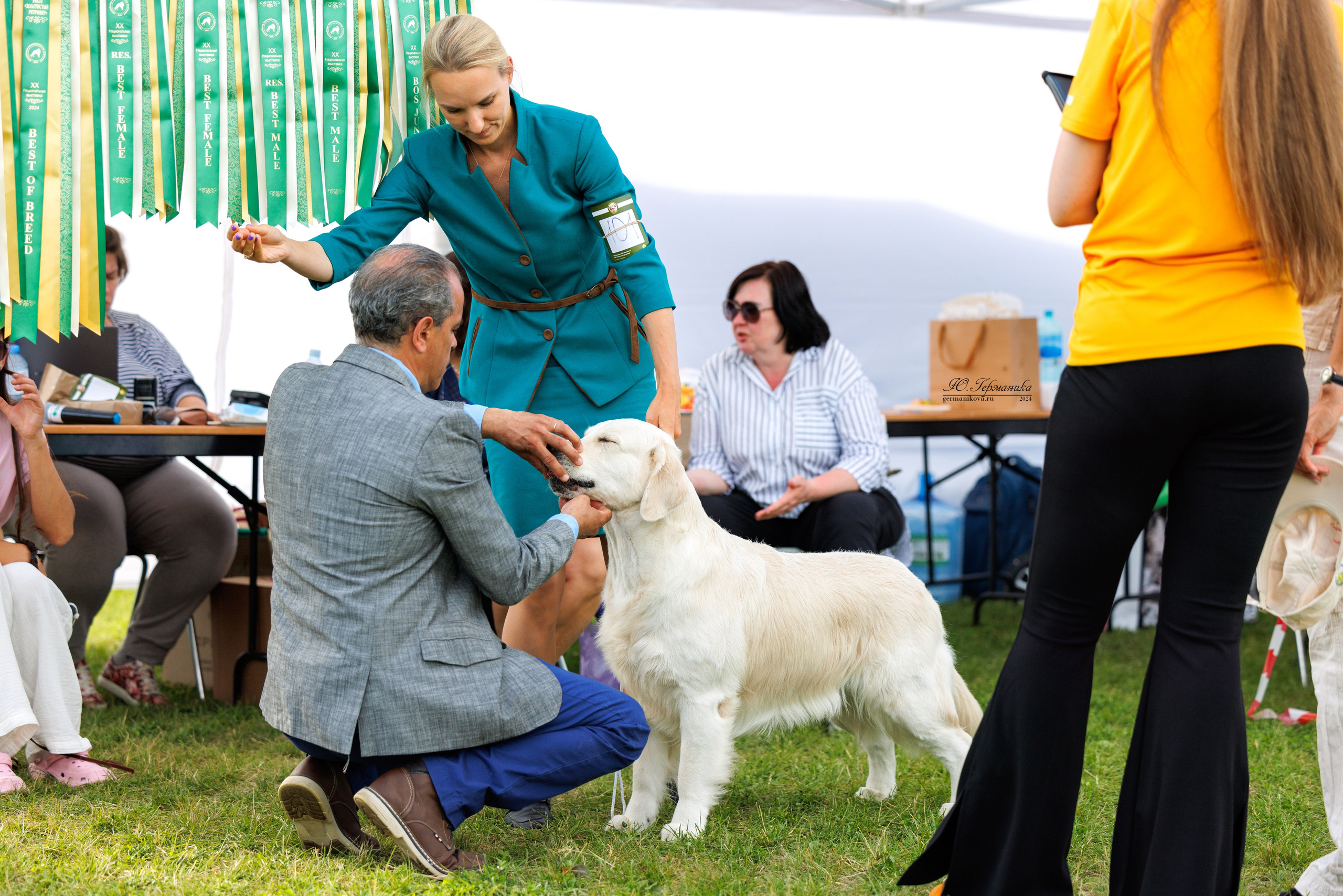 Голдены 15-16.06.2024. Фотограф-анималист Юлия Германика