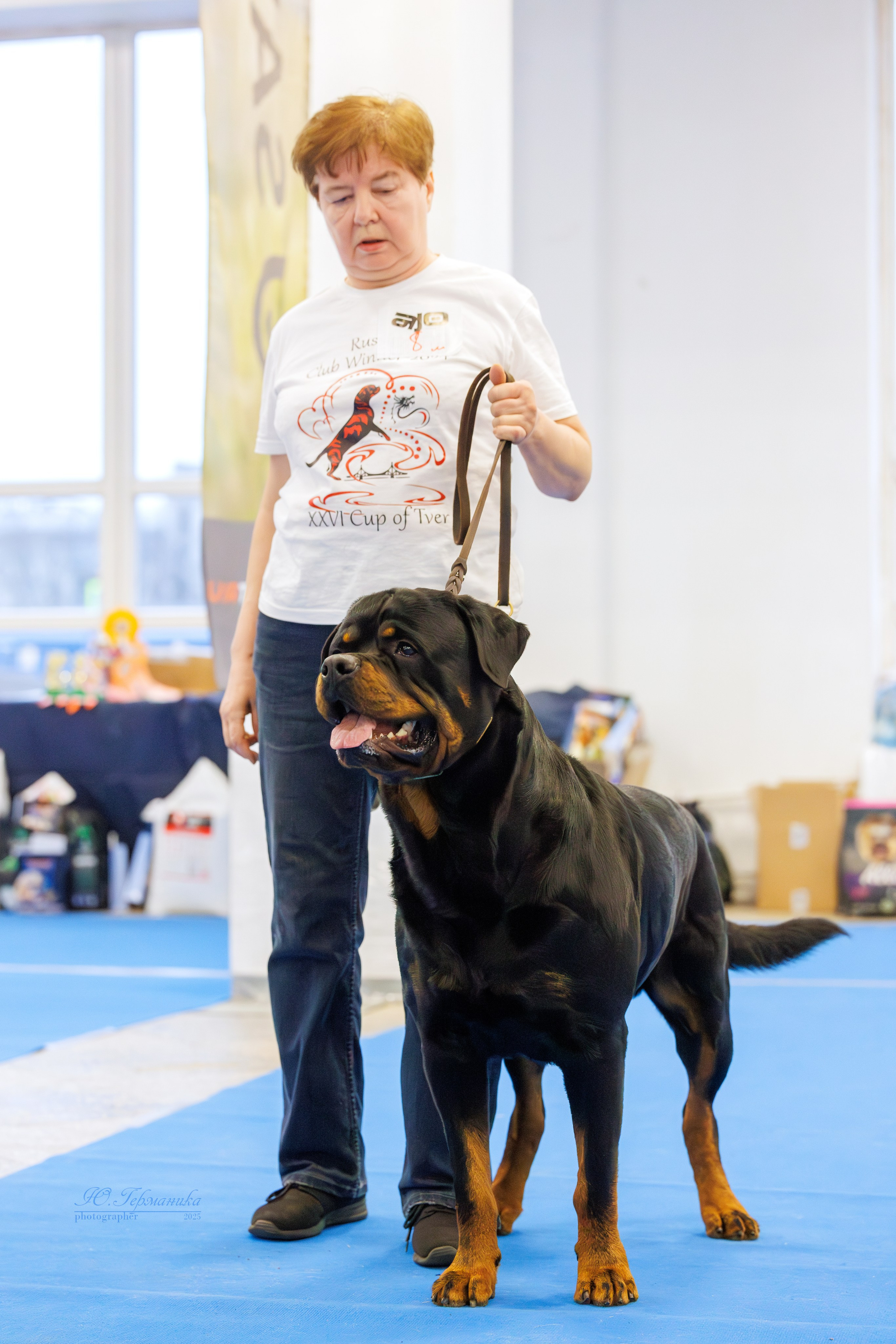 Питер ротвейлеры 18.01,Крокус 19.01.2025. Фотограф-анималист Юлия Германика