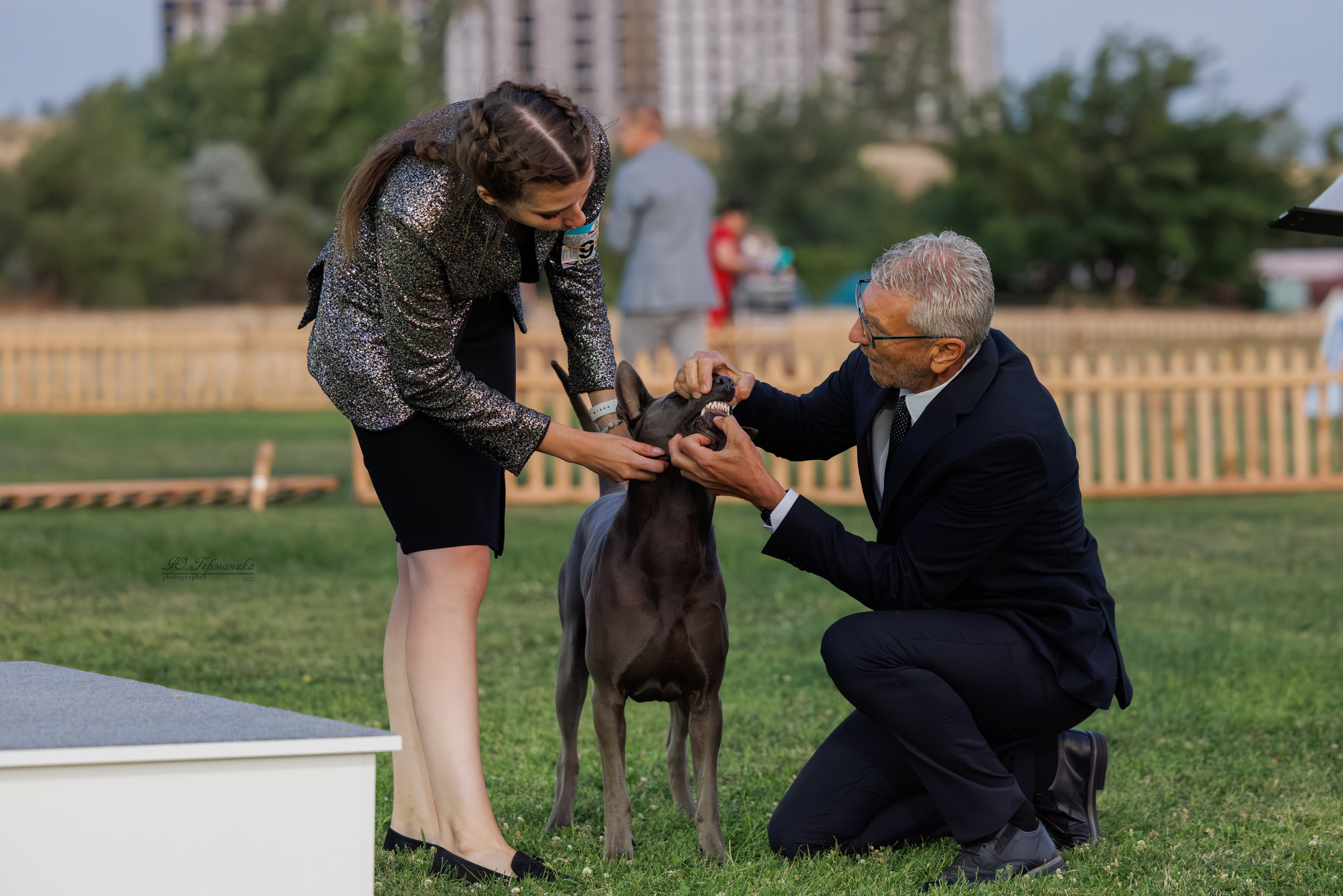 Ереван 3хCACIB 23-25.06.2025. Фотограф-анималист Юлия Германика