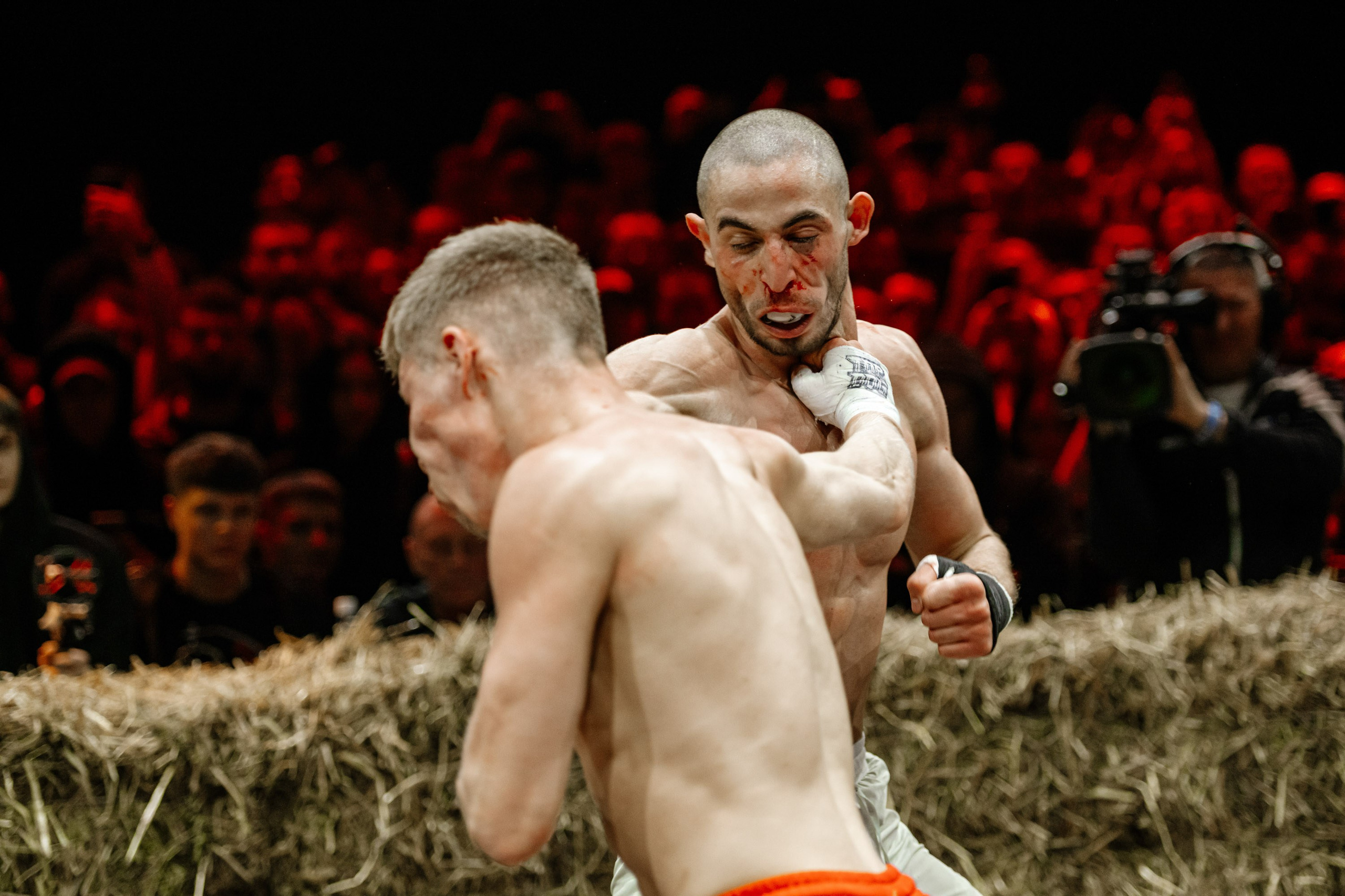 TOP DOG. Максим Комаров — Профессиональный фотограф