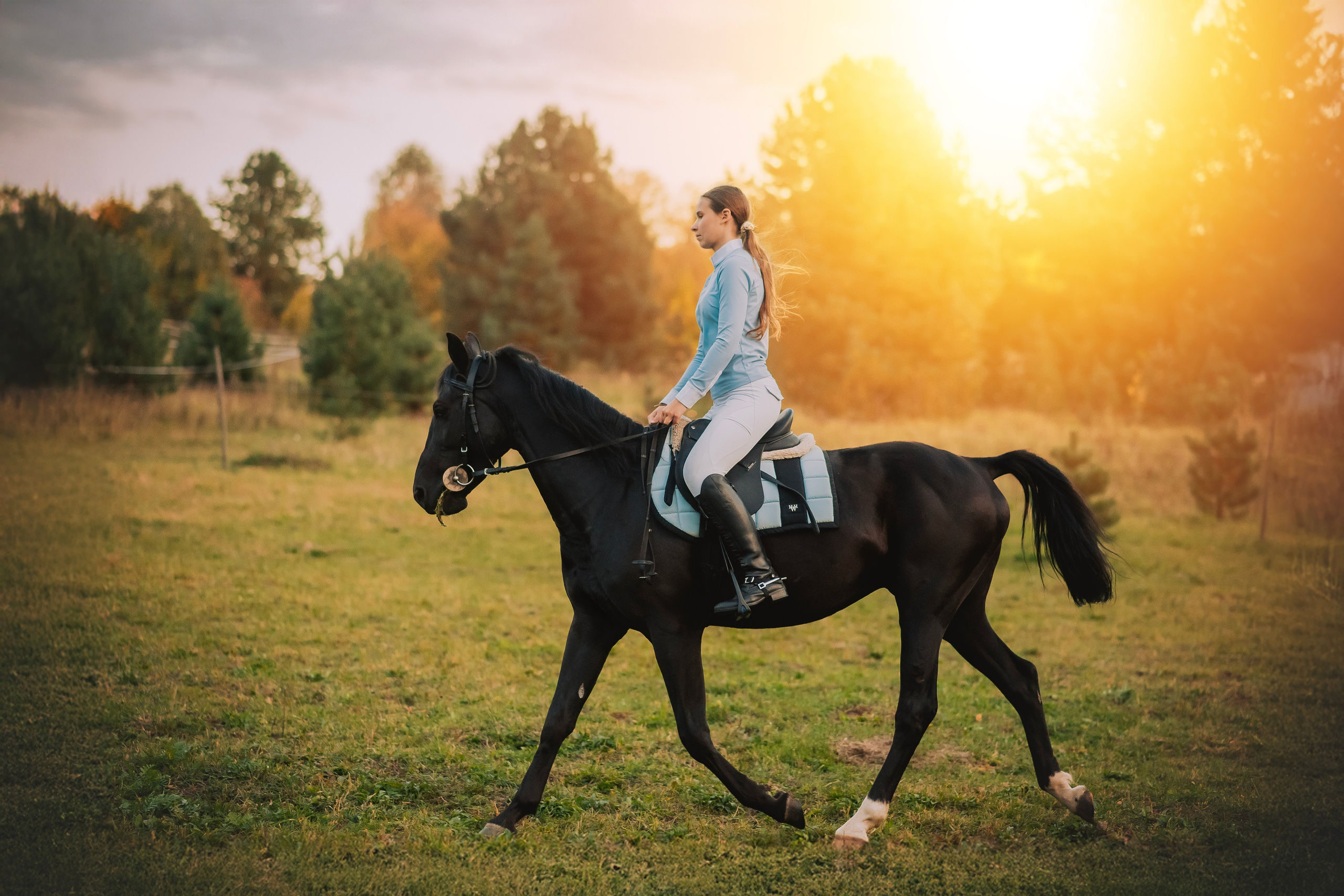 Дени — 23.09.2025. Фотограф — Анималист | Анна Абрамова