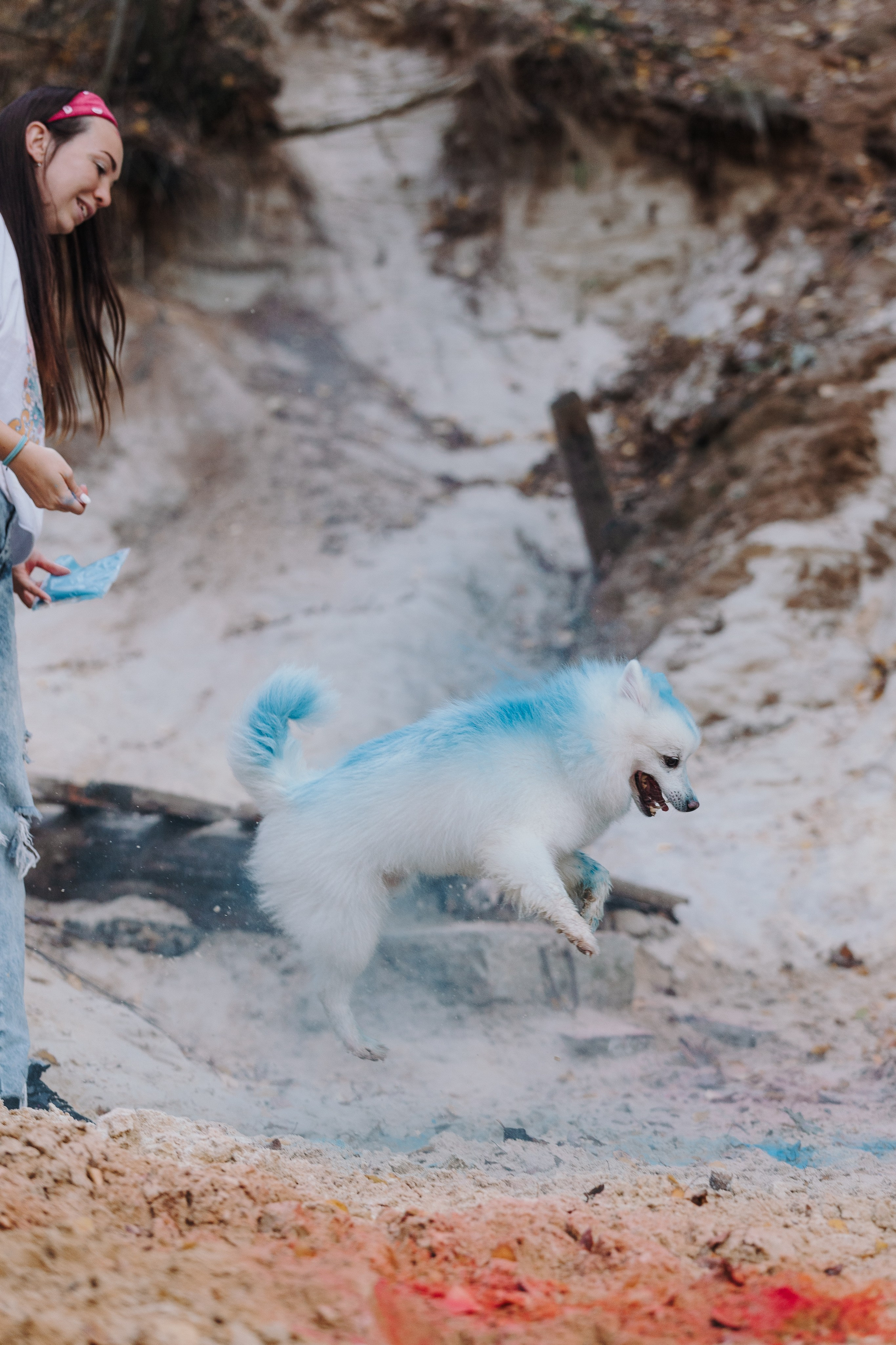 Краски холи. Фотограф анималист Кристина Карпова, Москва