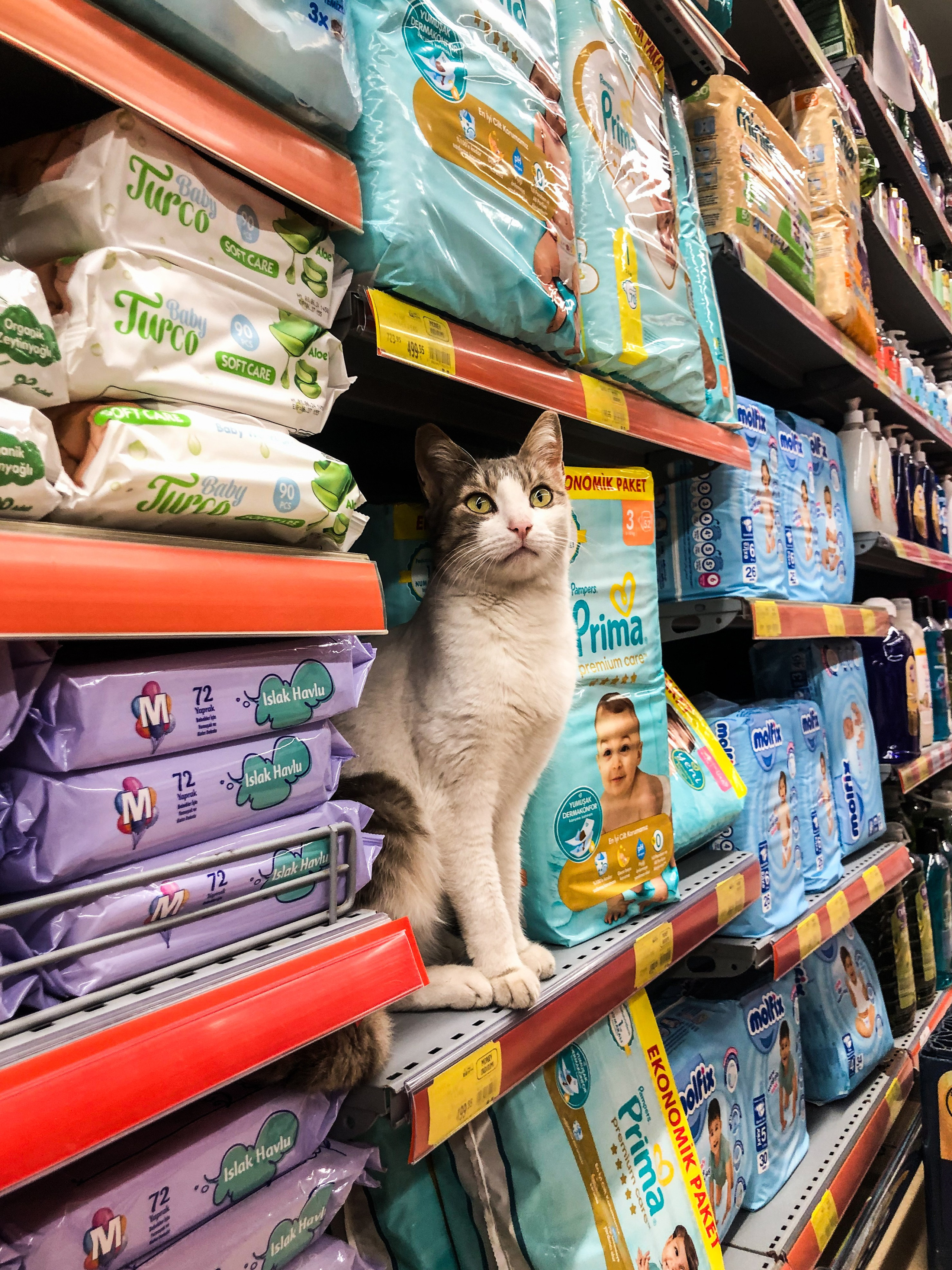 Стрит фото Москва. Фотограф Лобанов Антон, г. Москва