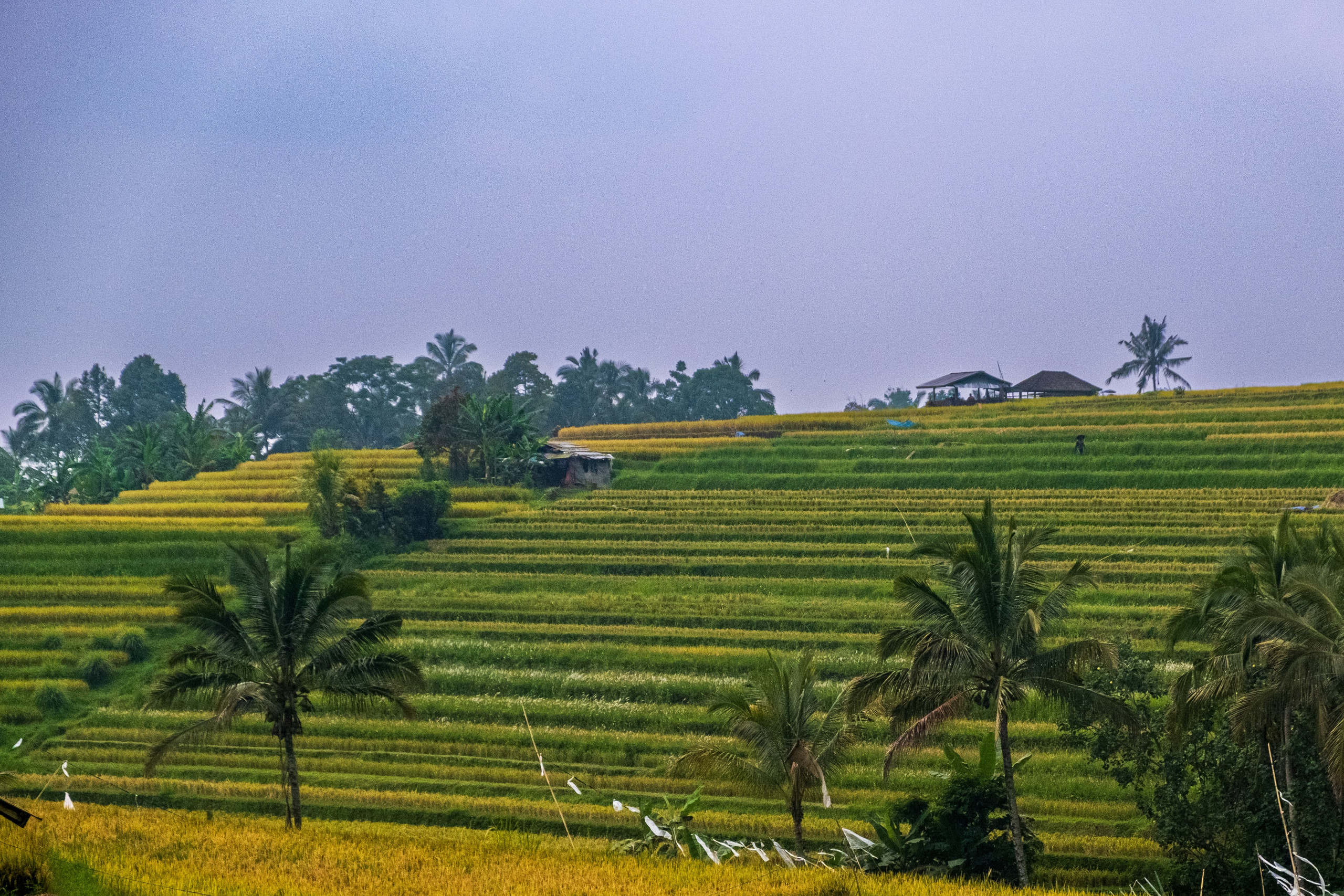 Остров Бали. Фотографии из путешествий