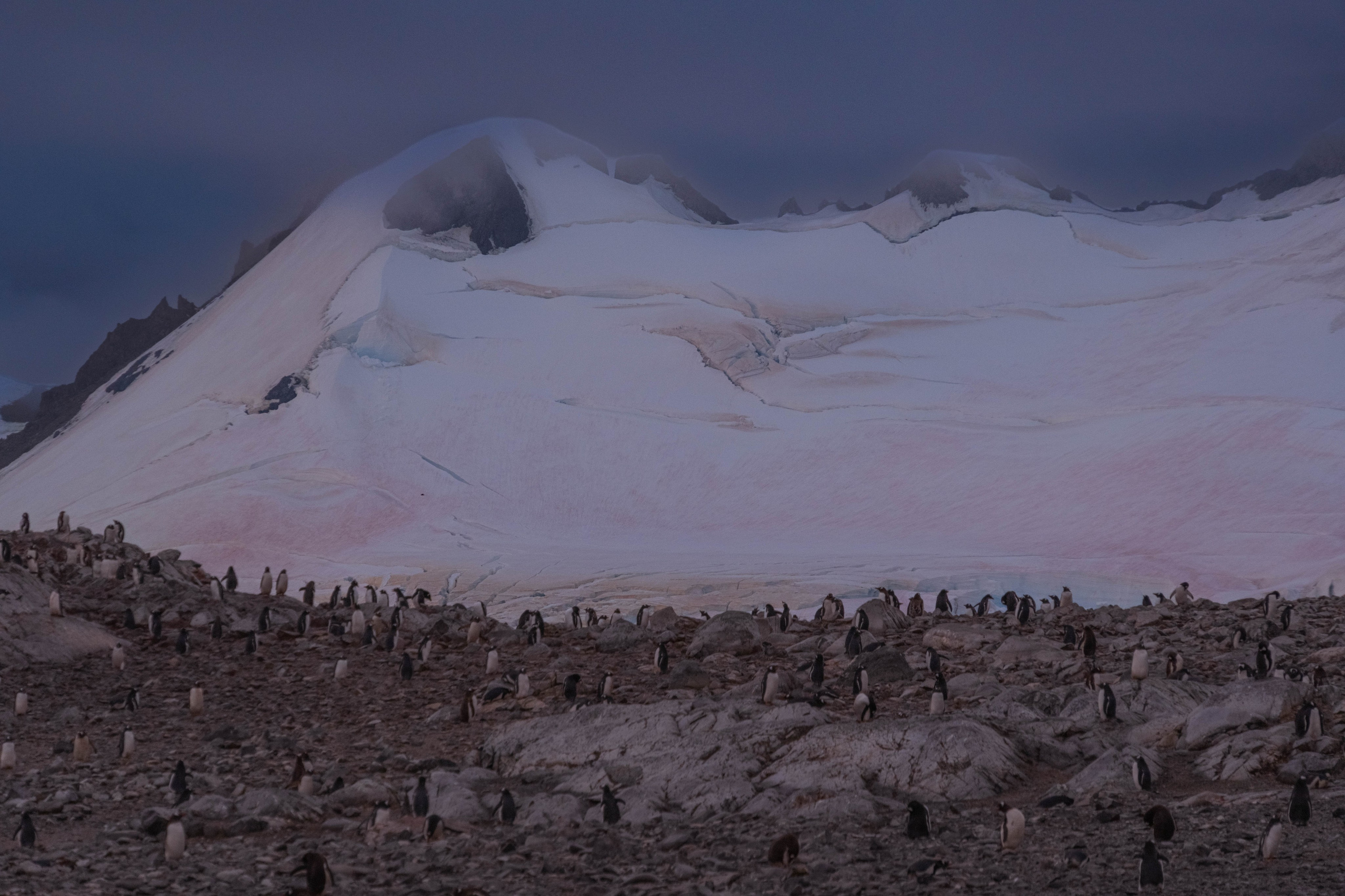 Материк и льды. Фотографии из путешествий