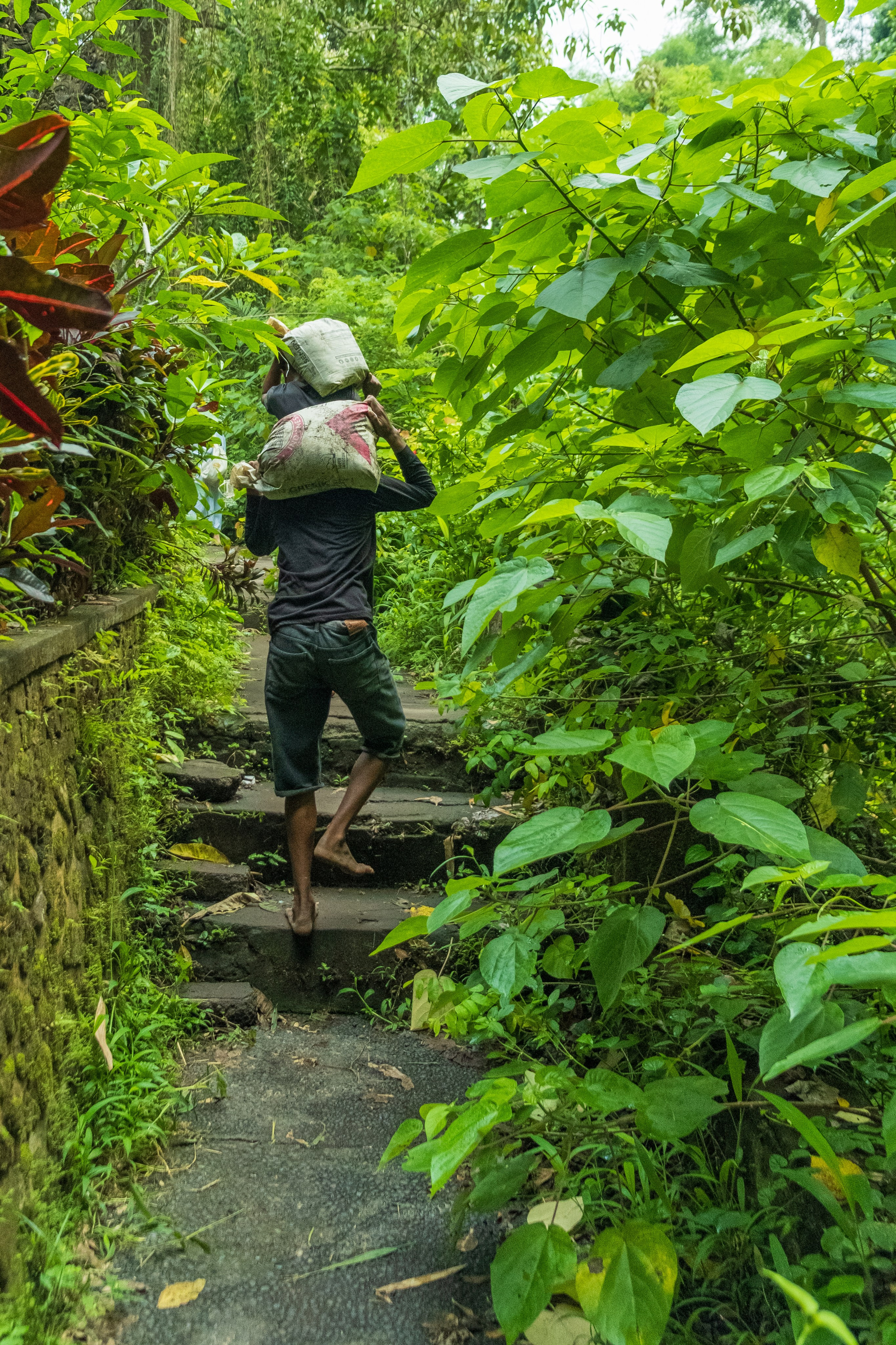 Остров Бали г. Убуд. Фотографии из путешествий