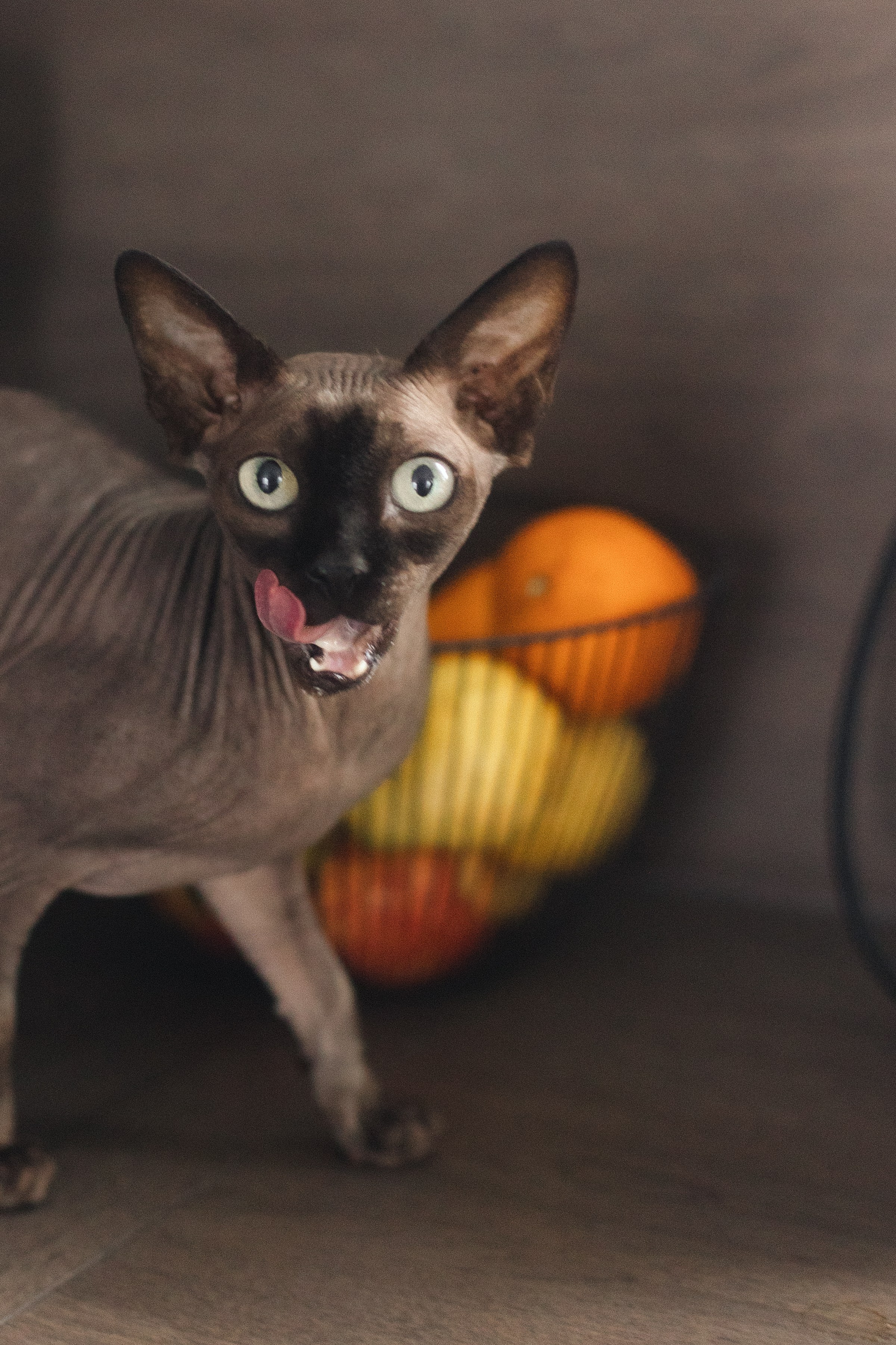 Появление брата. Фотограф из Петербурга