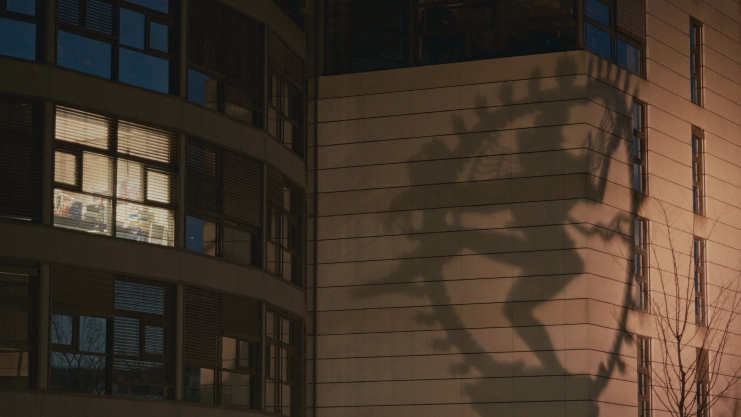 Film director Mariam Makhieva