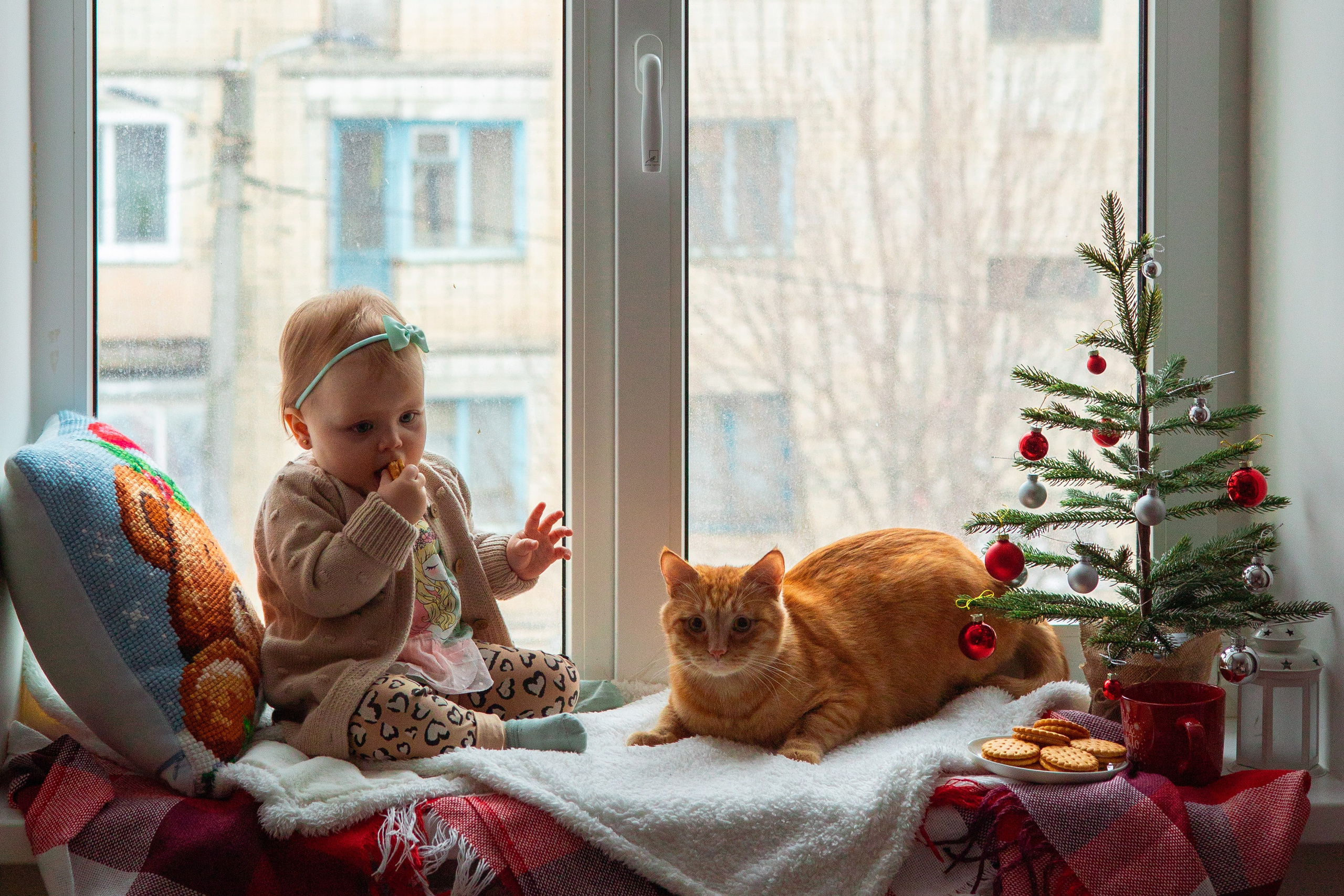 Новогоднее окно. Семейный и детский фотограф в Михайловке Татьяна Лестьева
