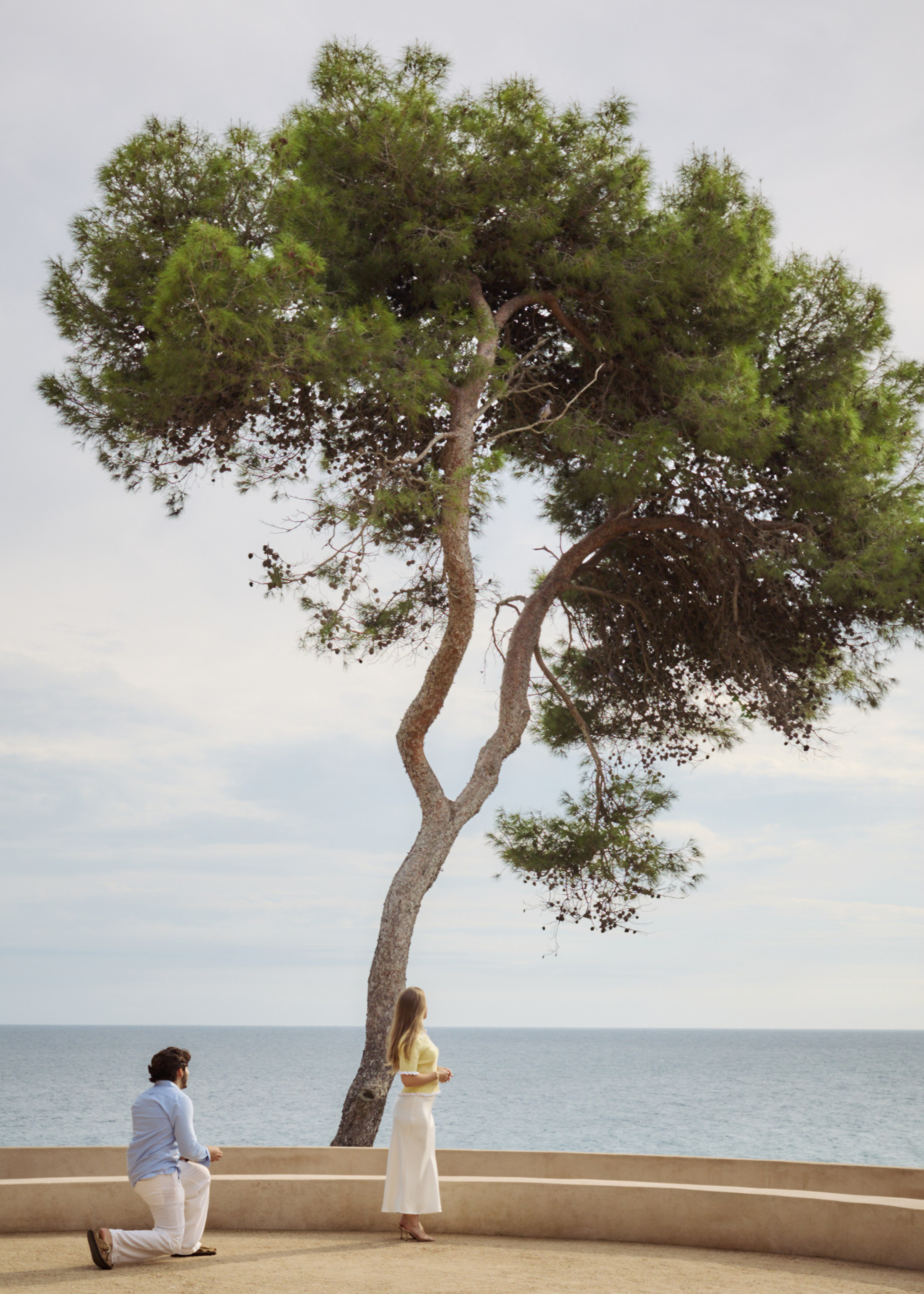 Proposal. Photographer Anastasia Kirnosenko