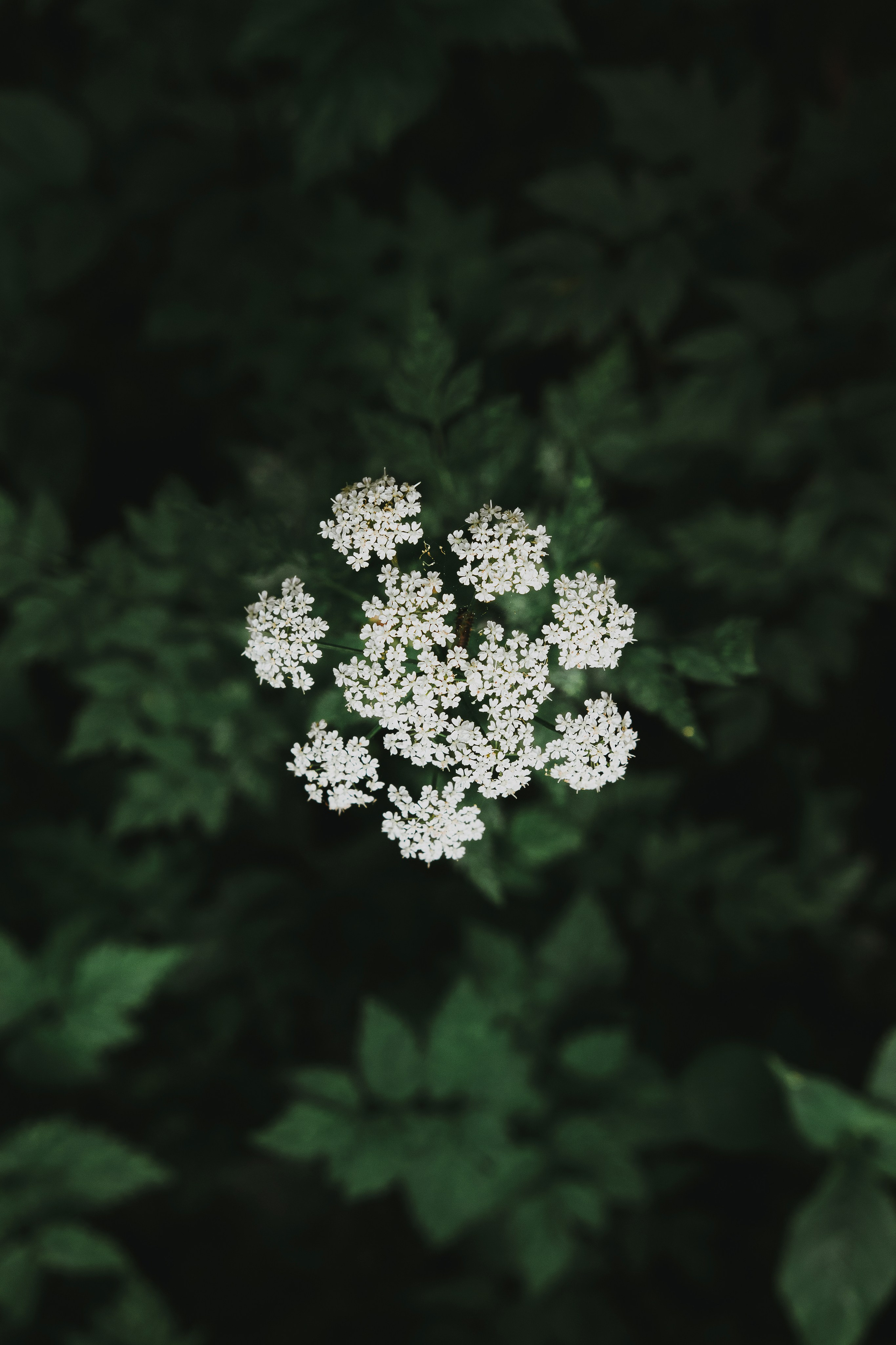 Жизнь. Фотограф Алматы | Весь мир — Никита Колодин