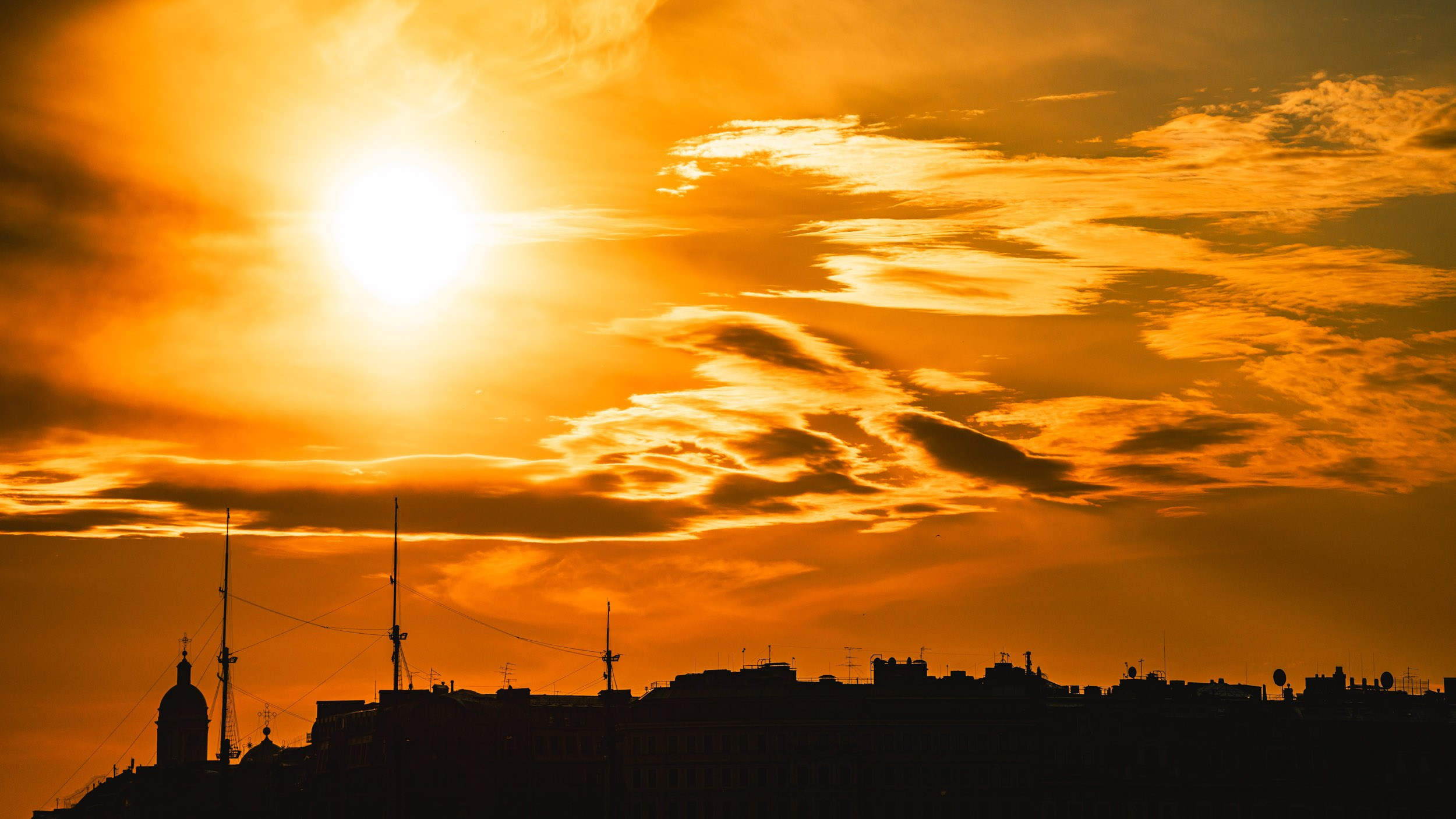 Saint Petersburg. The Andris