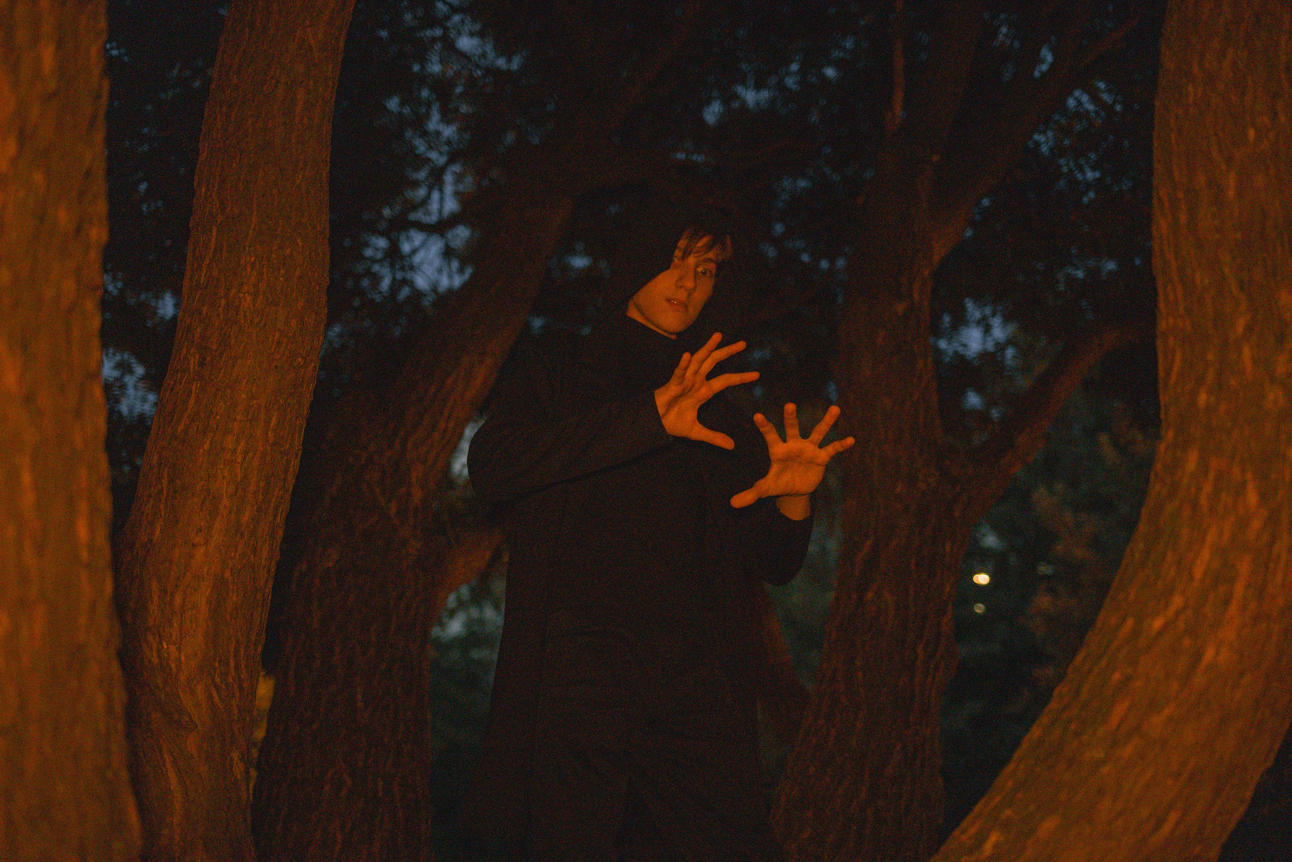 СКАЗОЧНЫЙ ЛЕС. Я фотограф из Москвы к Вашим услугам