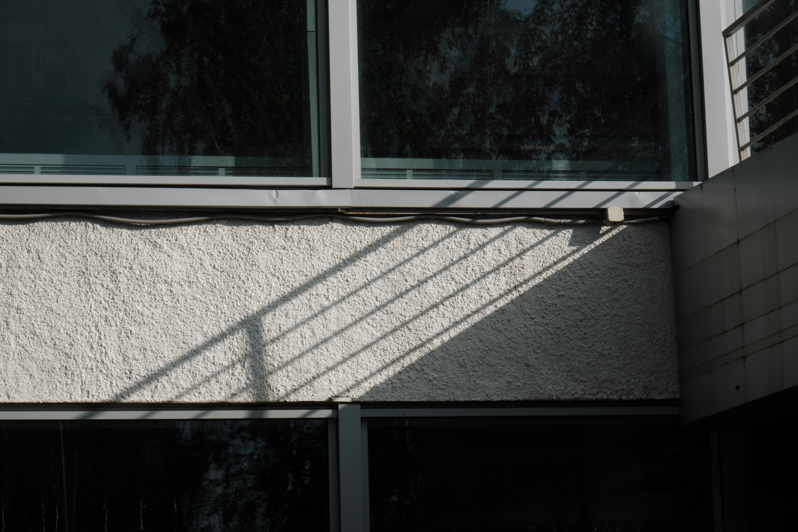 Академ-городок и ботанический сад. Goncharov Tim