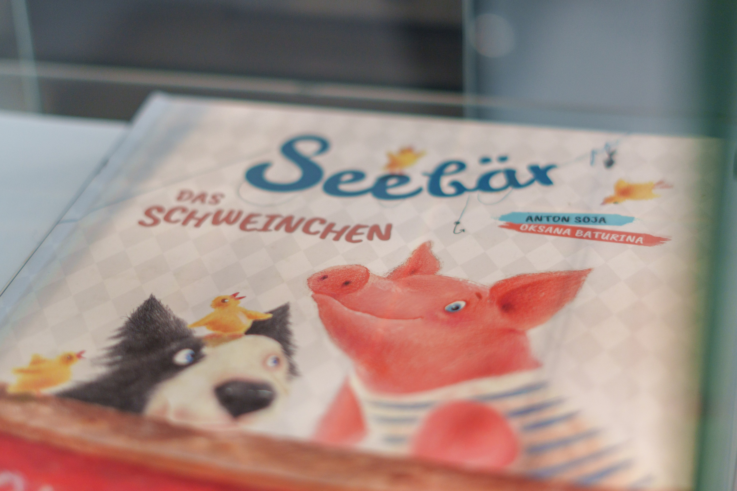 Открытие 11 фестиваля анималистики «Зооарт». Фотограф в Санкт-Петербурге Ибрагимова Алина