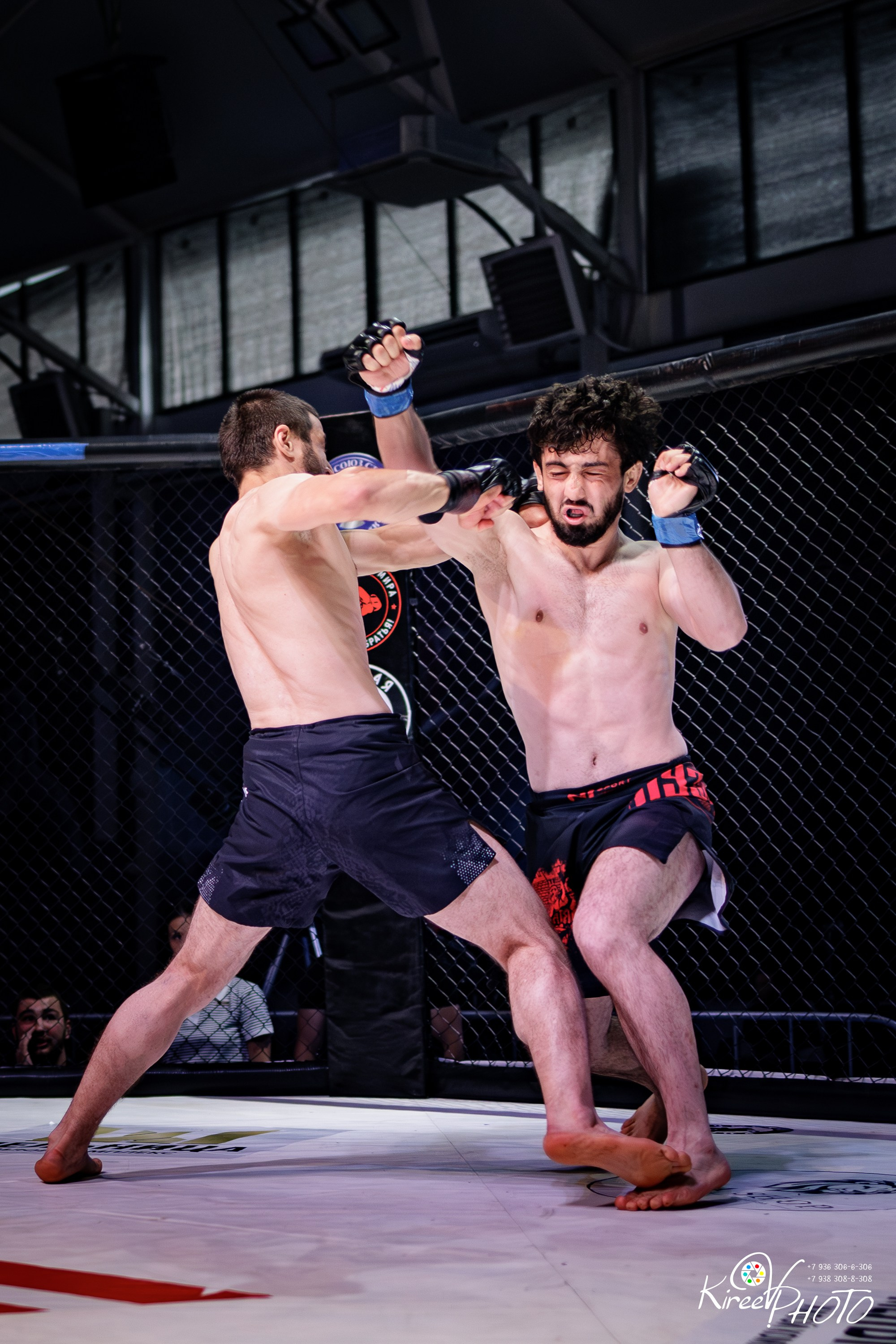 Спортивный Фотограф MMA Бой Армен Амирханян ️Карим Магомедэминов