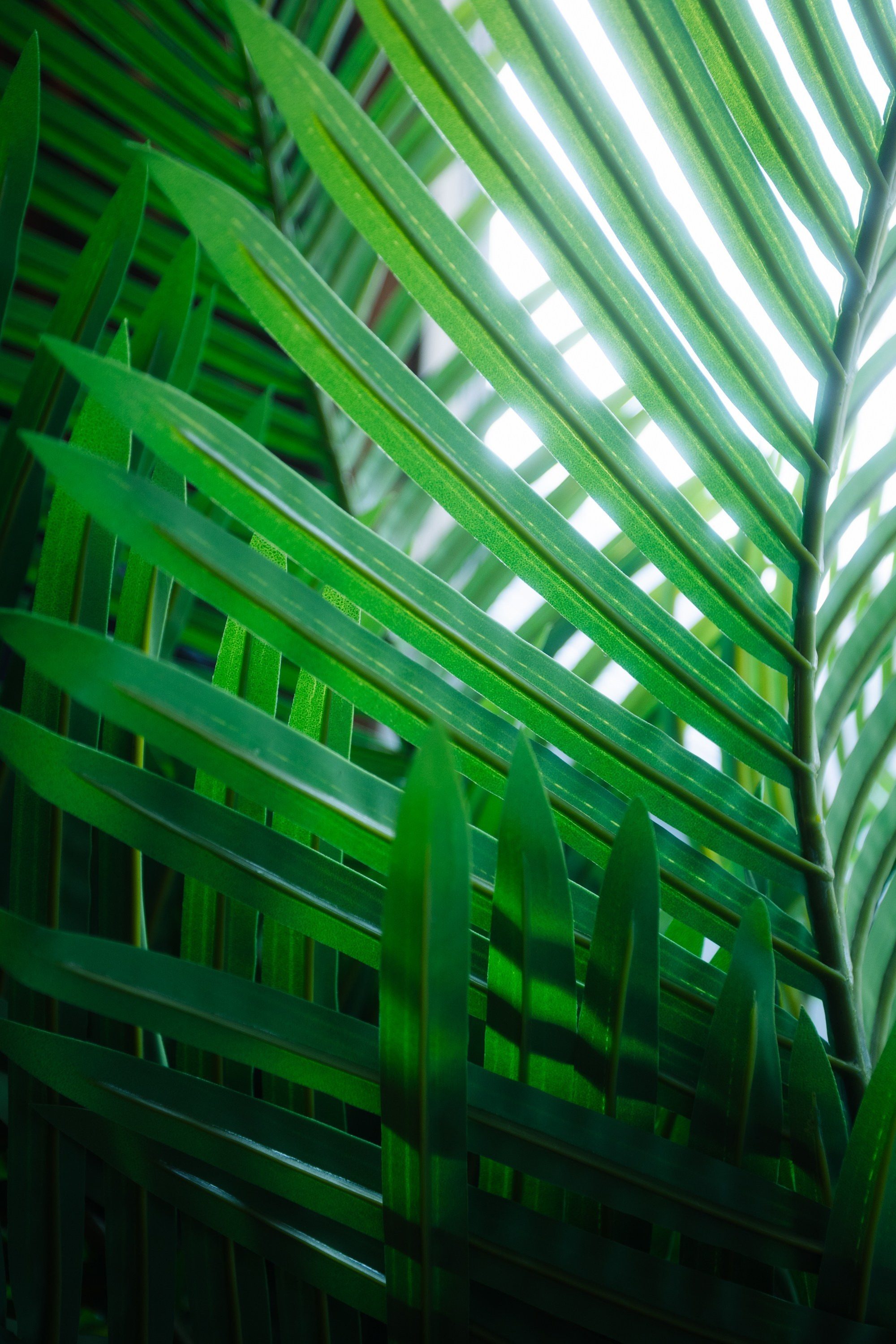 РЕСТОРАНЫ. Контент фотограф в Москве Ник Фрост