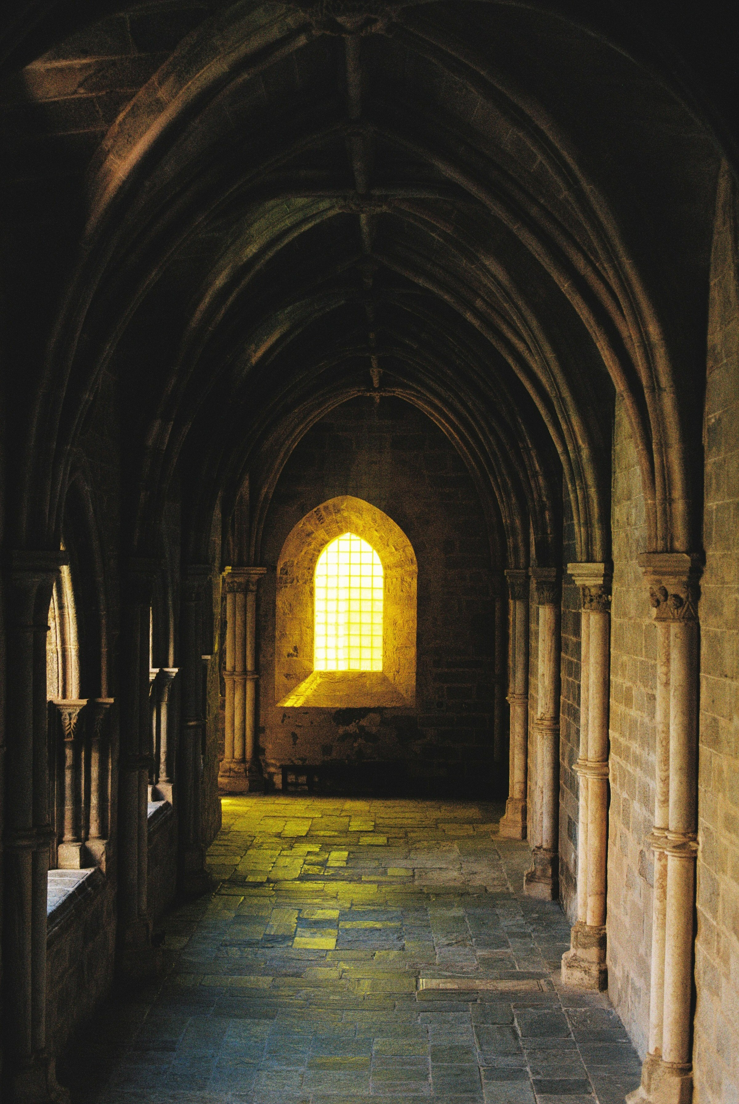 Fine art. Katya Zimina, film photographer based in Lisbon, Portugal