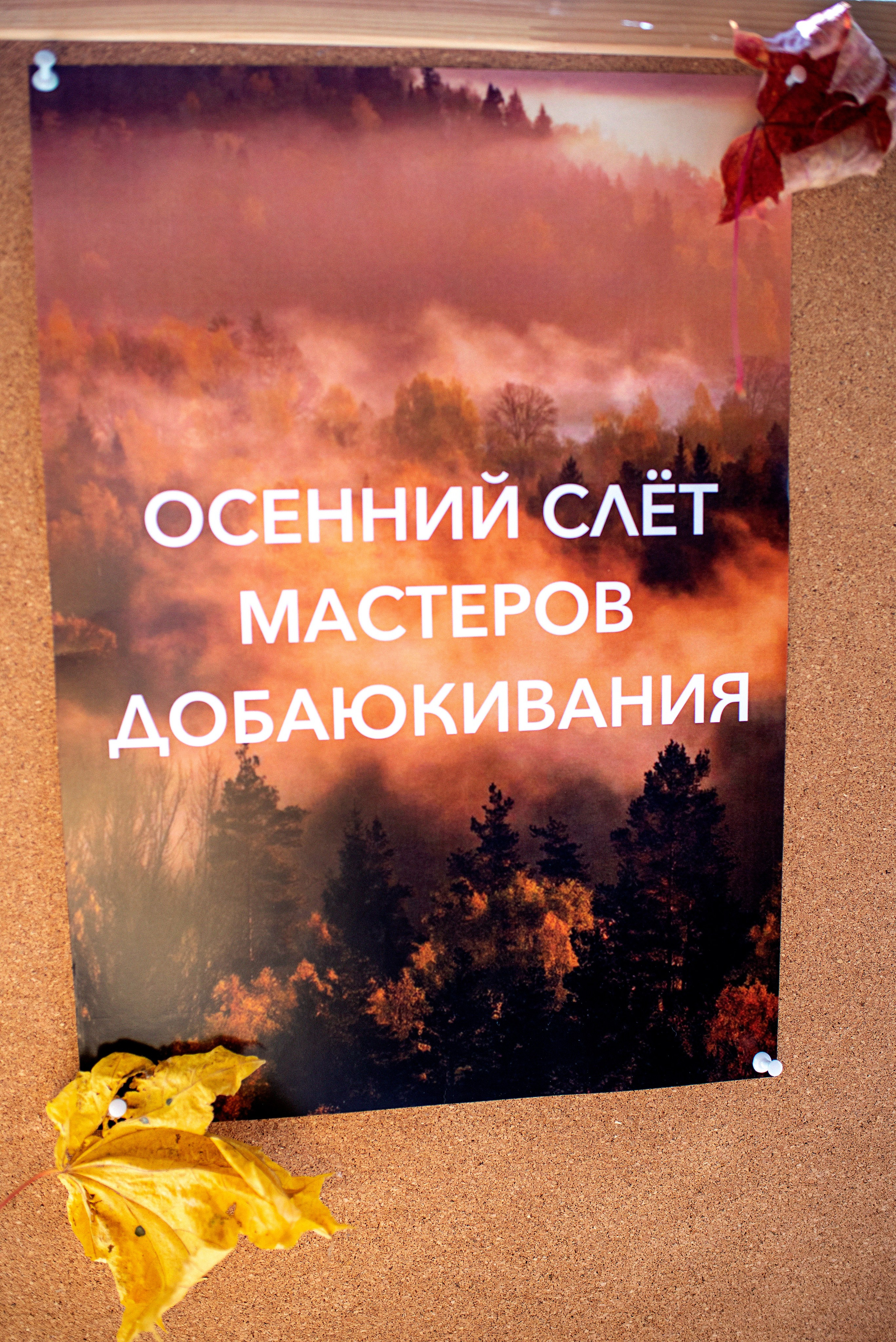 Слет Мастеров Добаюкивания. Репортаж. Фотограф в Казани Надежда Вальшина. Свадебные, семейные, детские, индивидуальные фотосессии