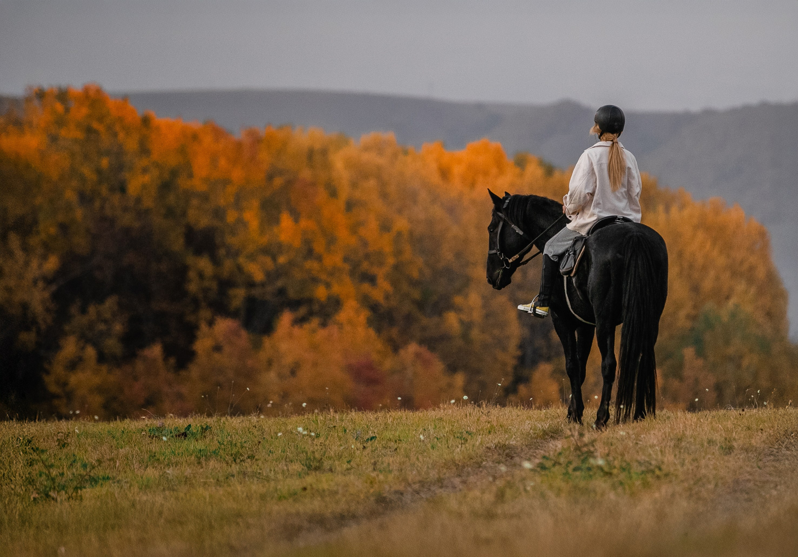 Фототуры в Карачаево-Черкессии 2019-2020. Фотограф-анималист Ксендзова Кристина