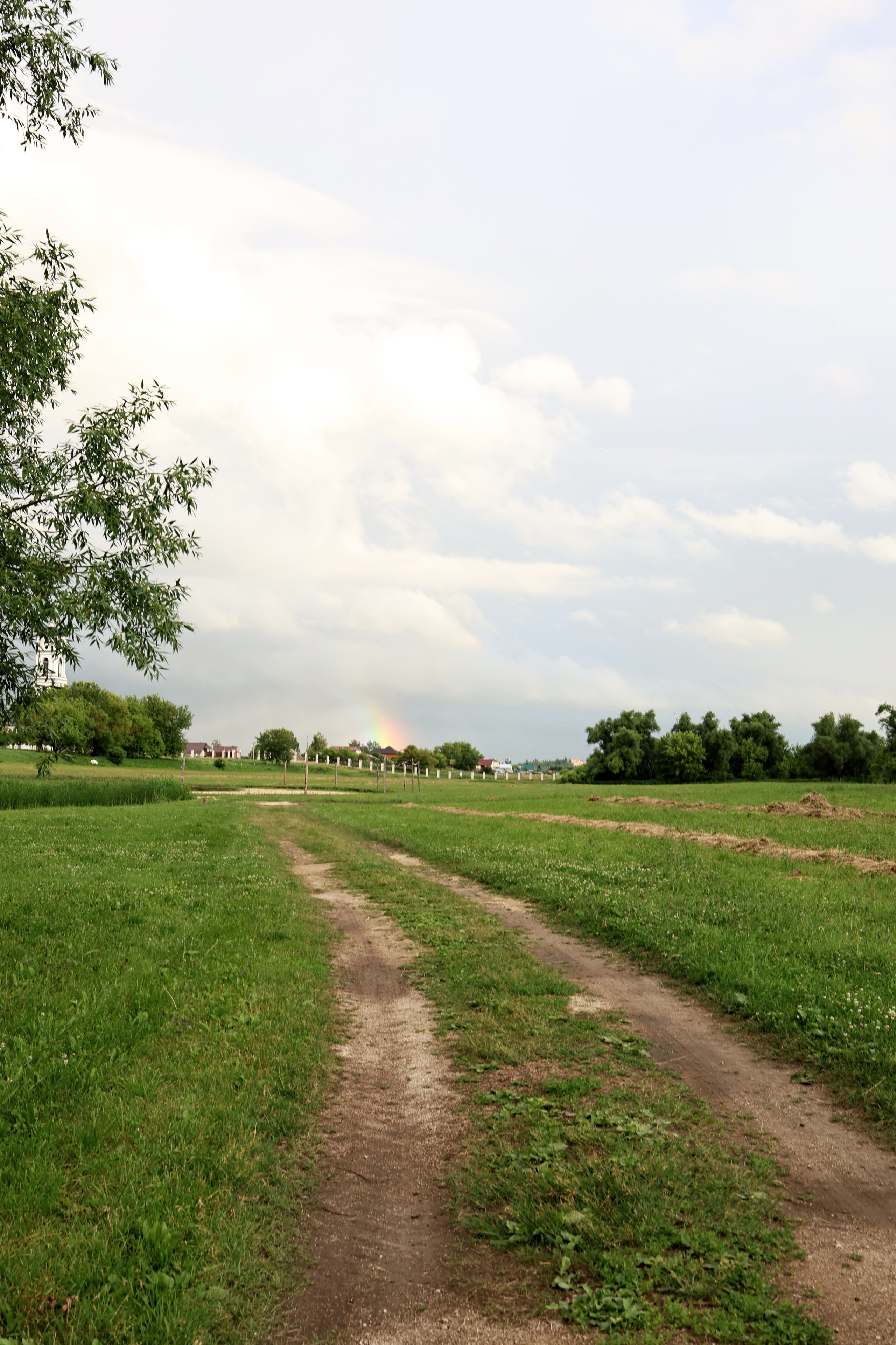 Валерия и Николай. Свадебный и семейный фотограф в Воронеже Ксения Воротникова