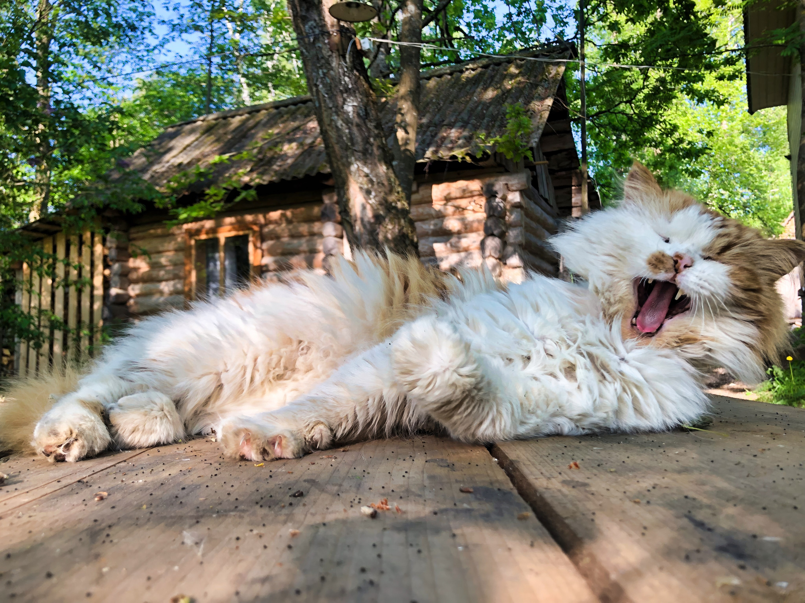 На берегу Угры. Конец мая 2024 года. Фотограф Никифоров-Гордеев Сергей. Москва и МО