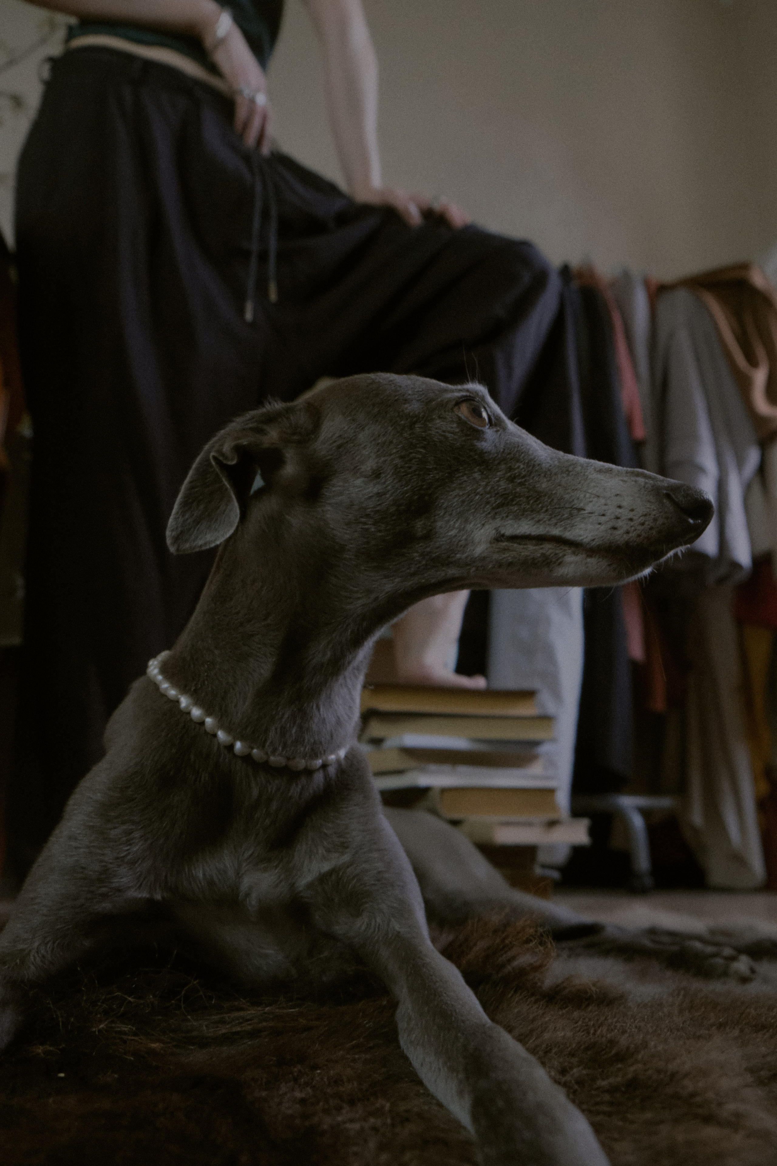 Master Bo. Фотограф Настя Лев