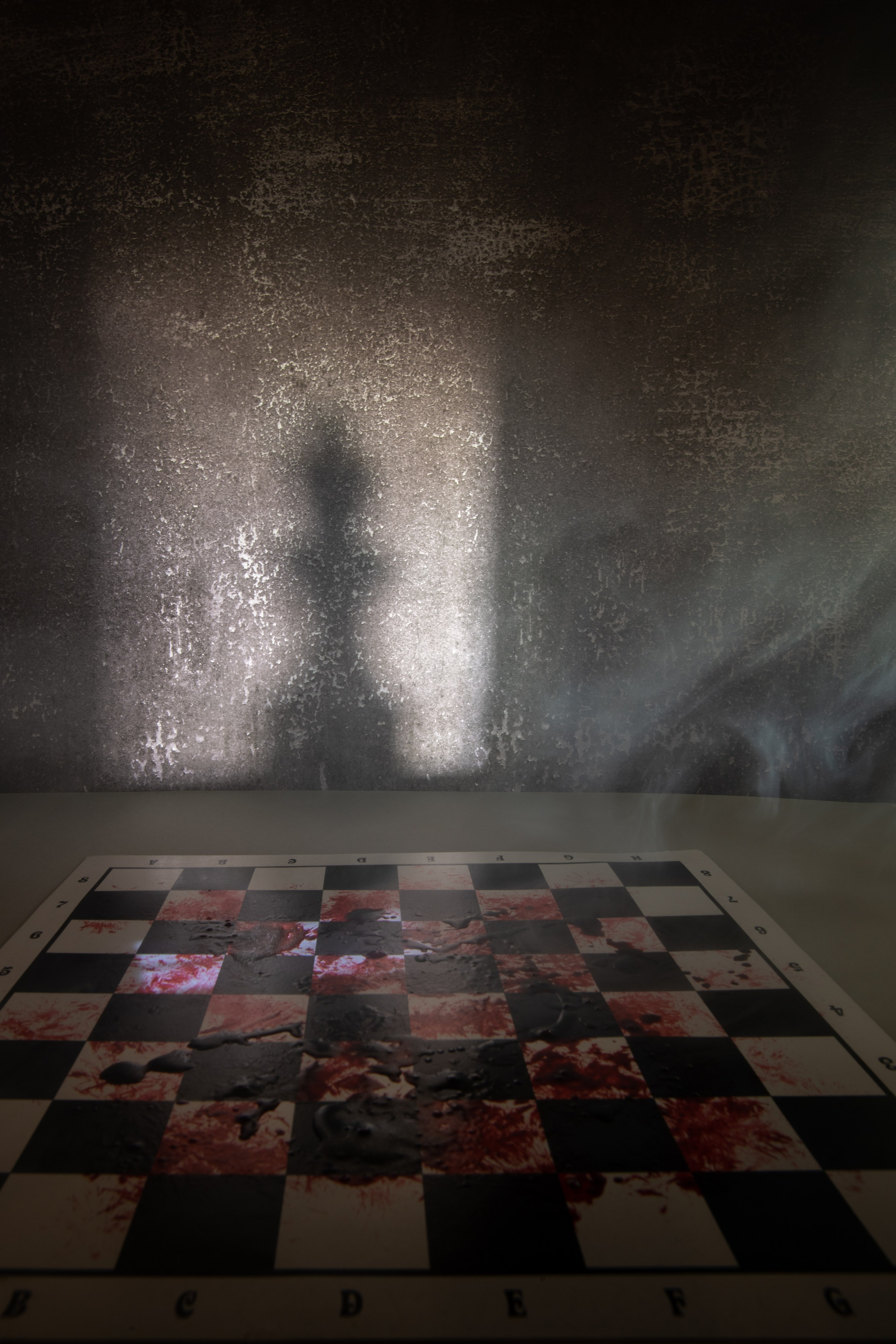 Предметка. Фотограф в городе Электросталь Ногинск Москва — Алексей Закхеев